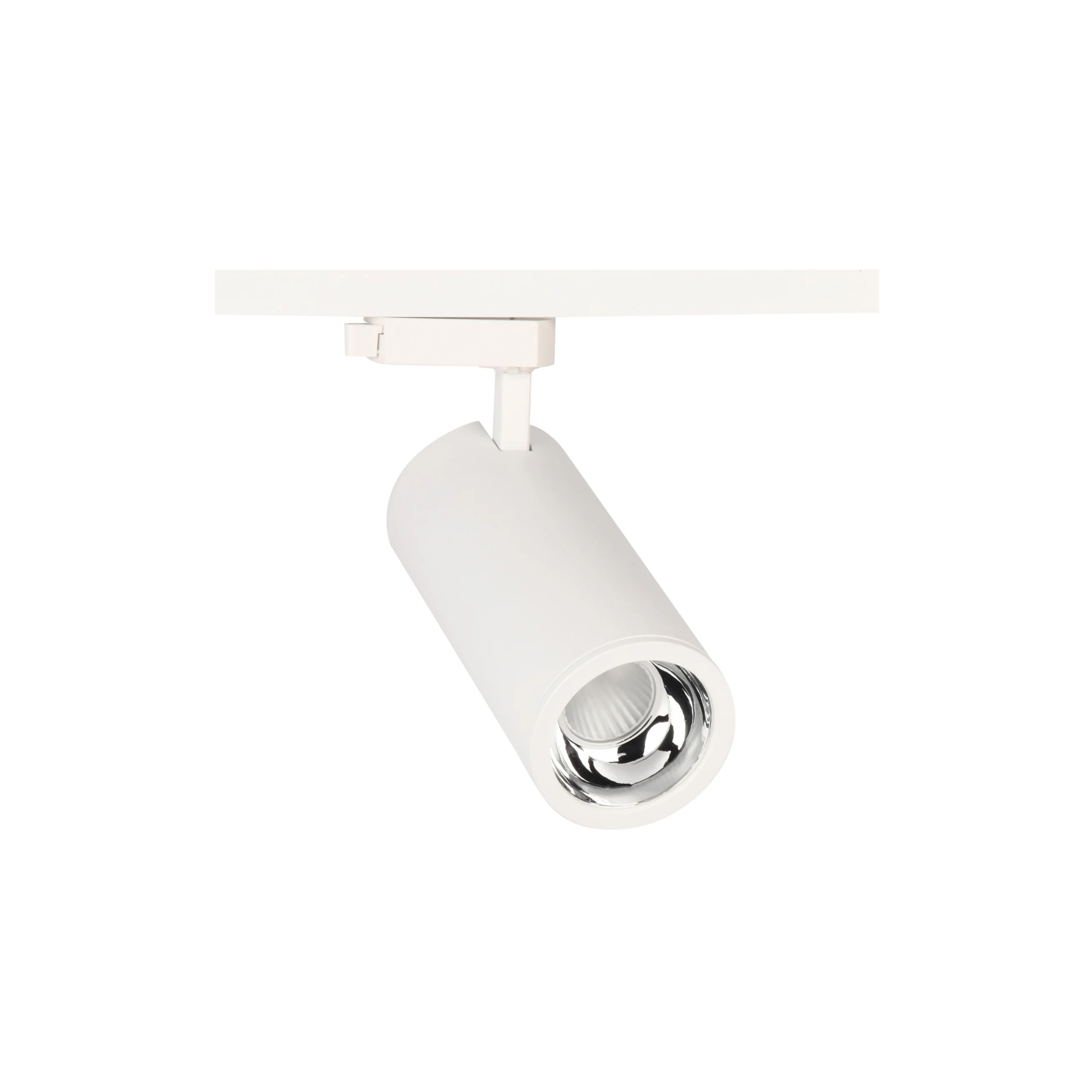 Pro Track Light