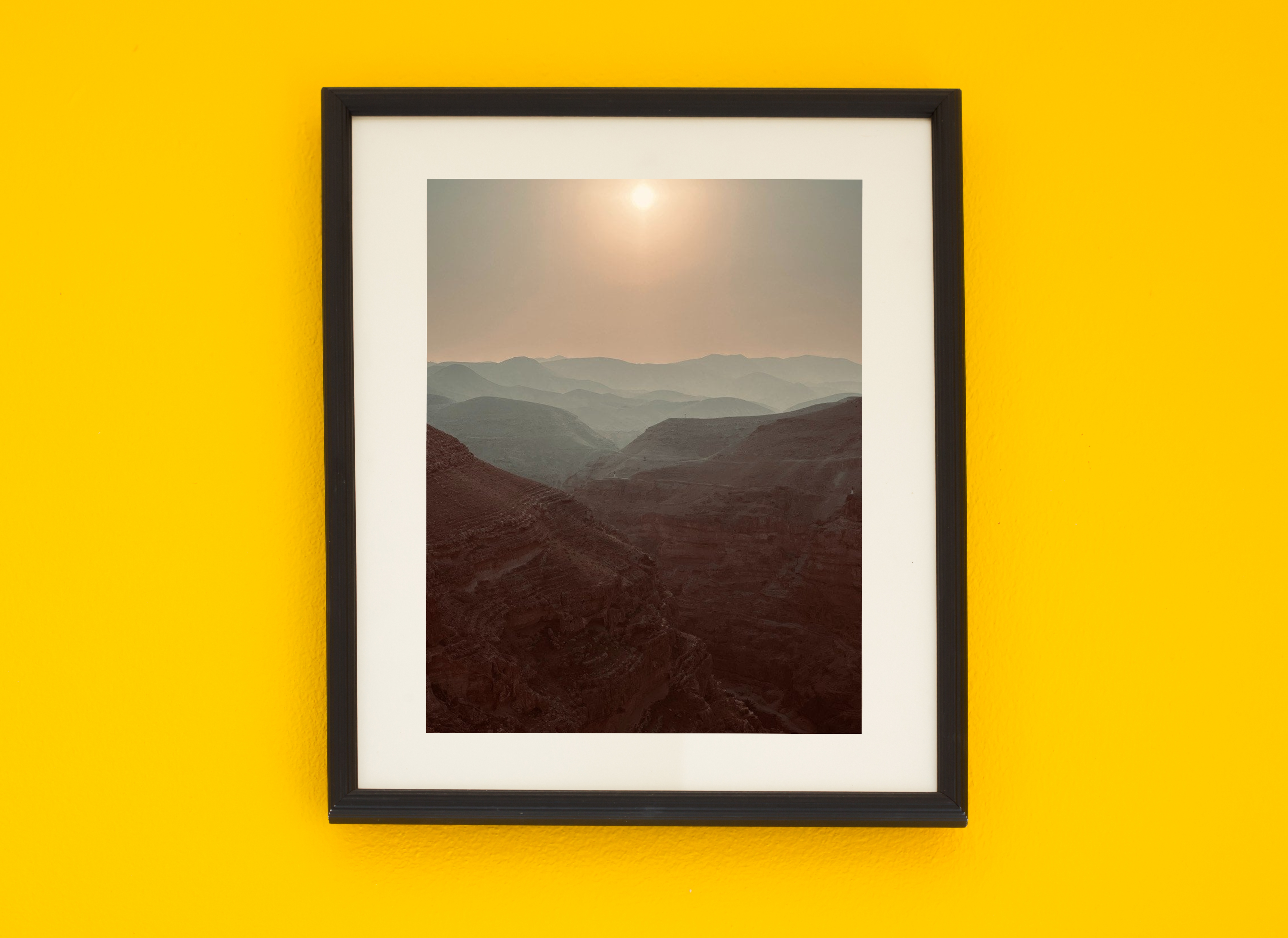 Nature Prints