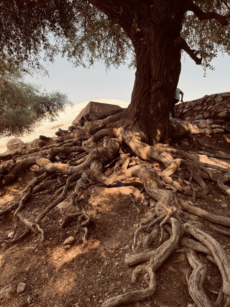Roots of Life