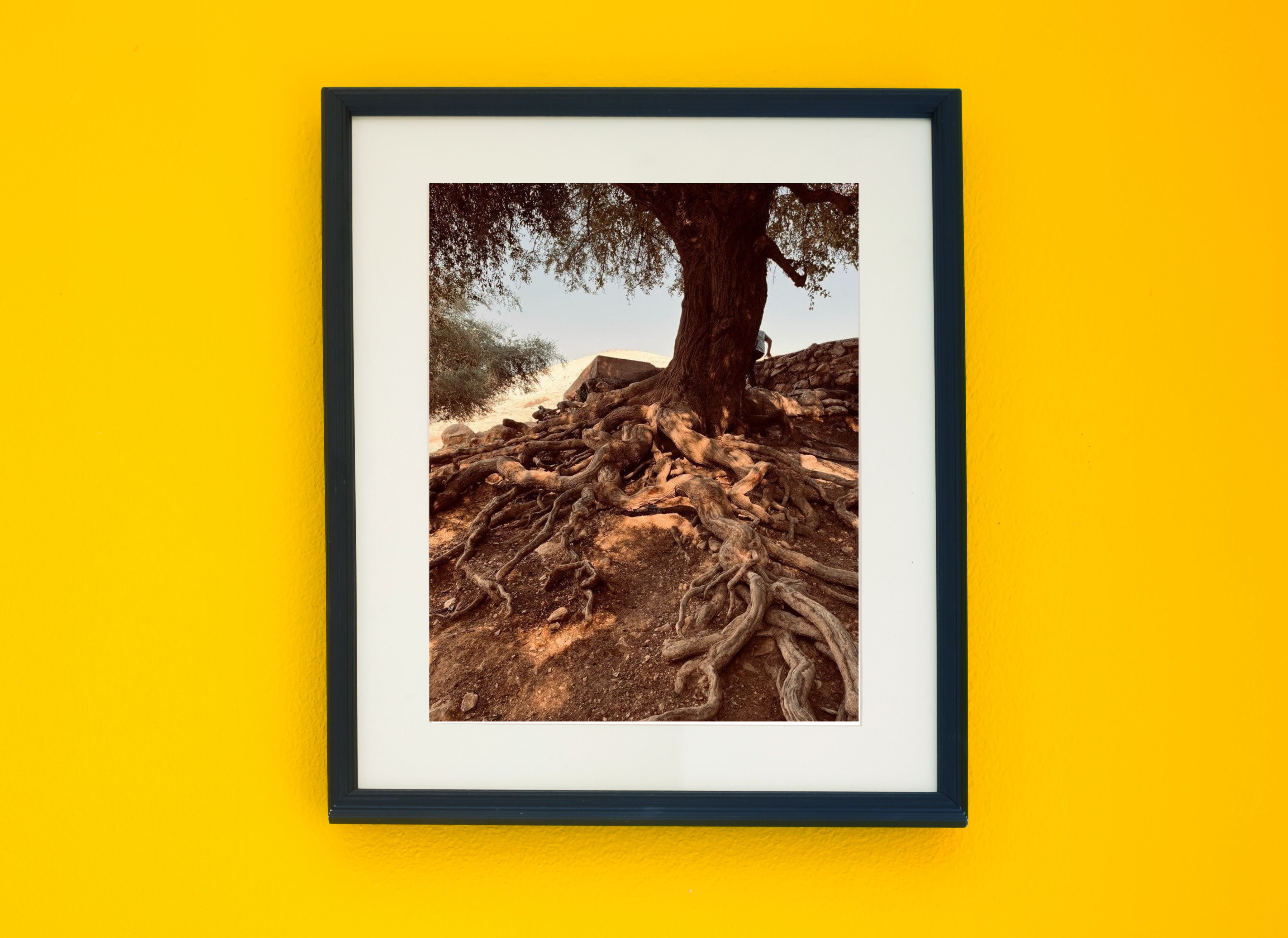 Roots of Life