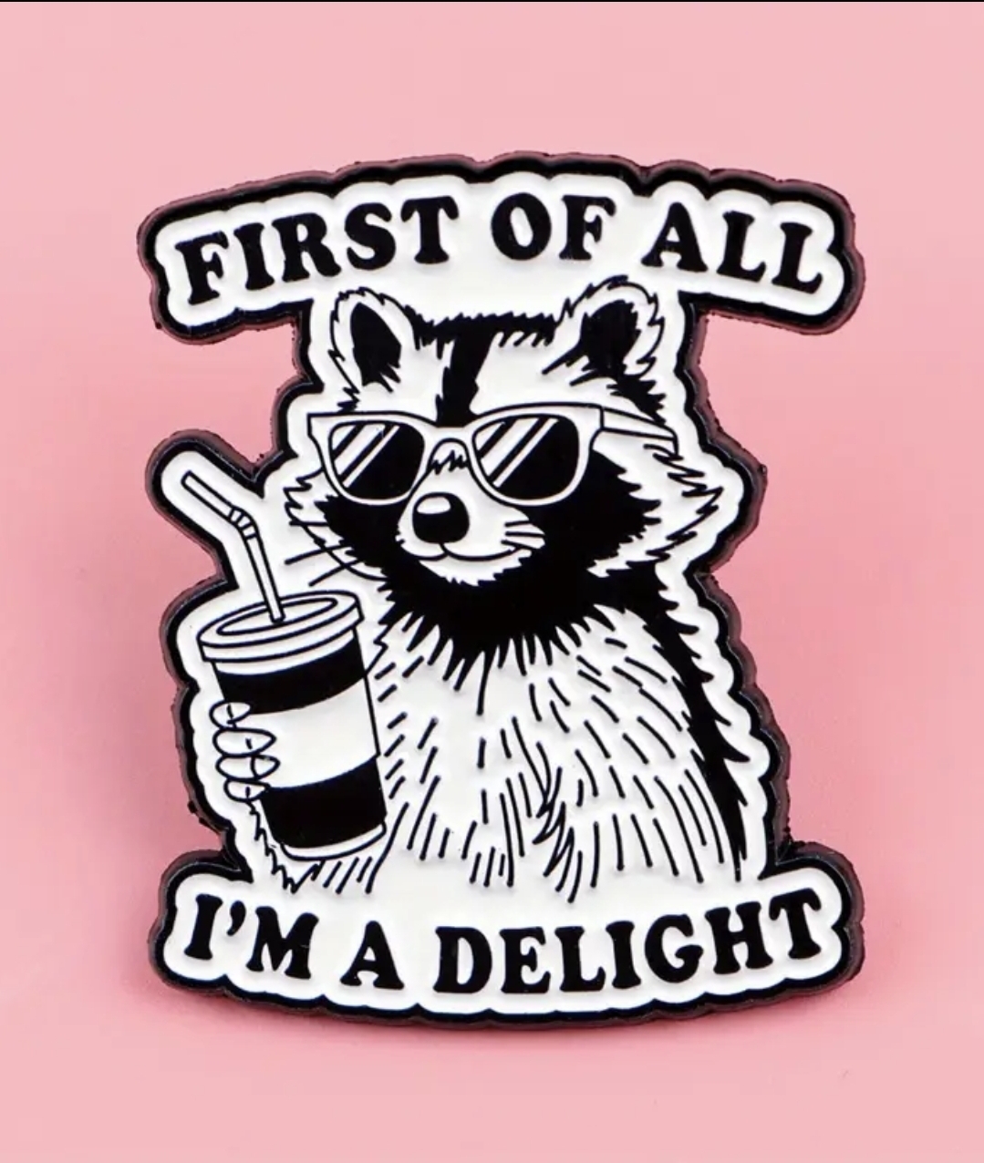 Raccoon 'I'm a Delight' Pin