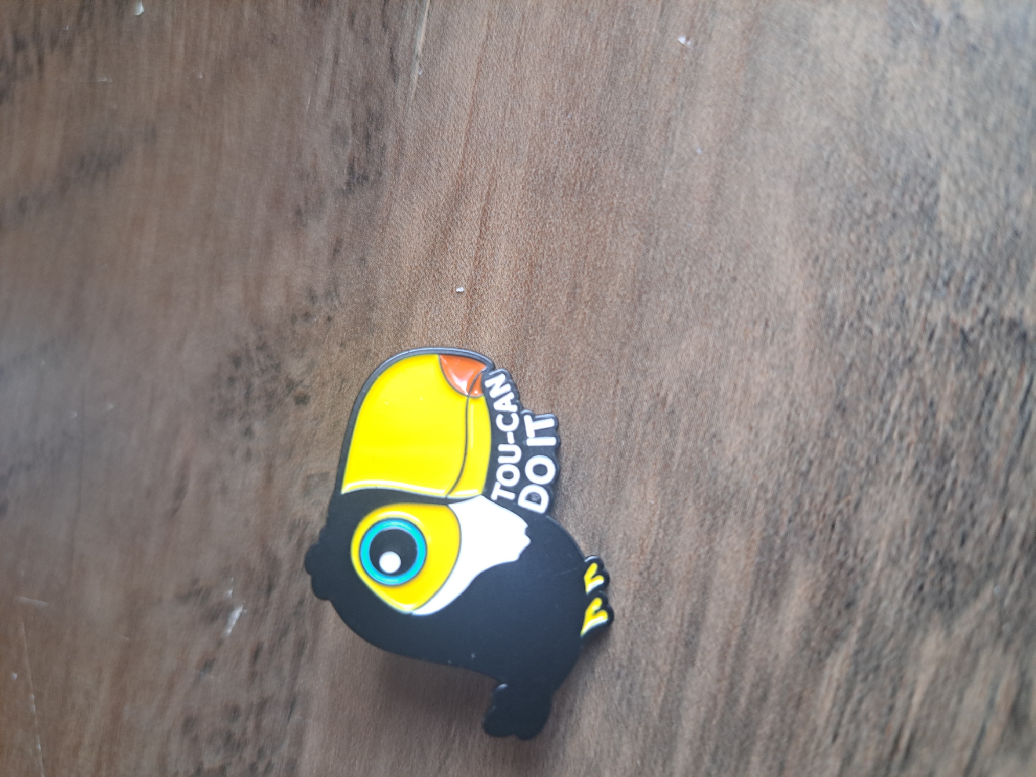 Toucan Do It Pin