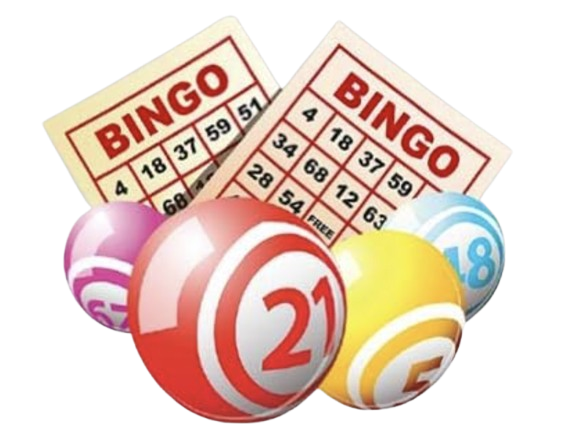 Crazy Bingo Lady