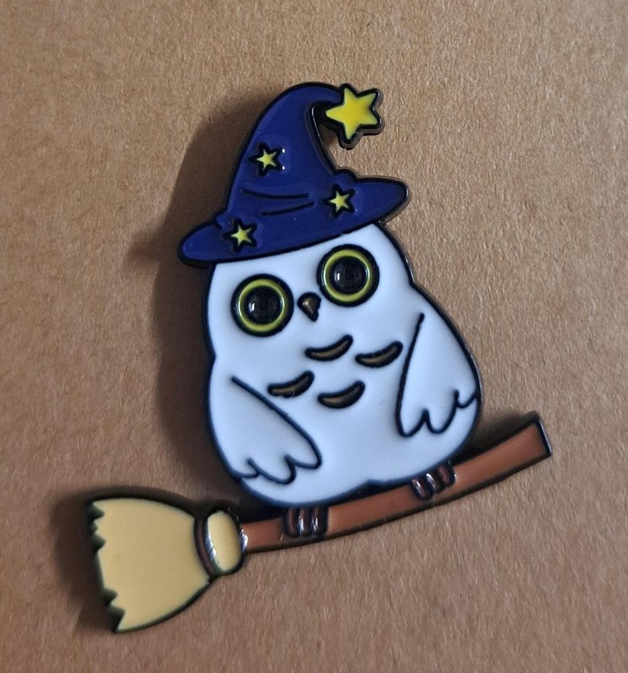 Wizard Owl Pin