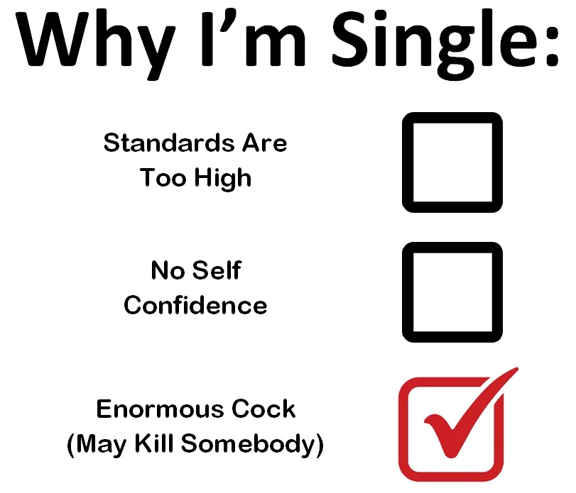Why I'm Single Mug