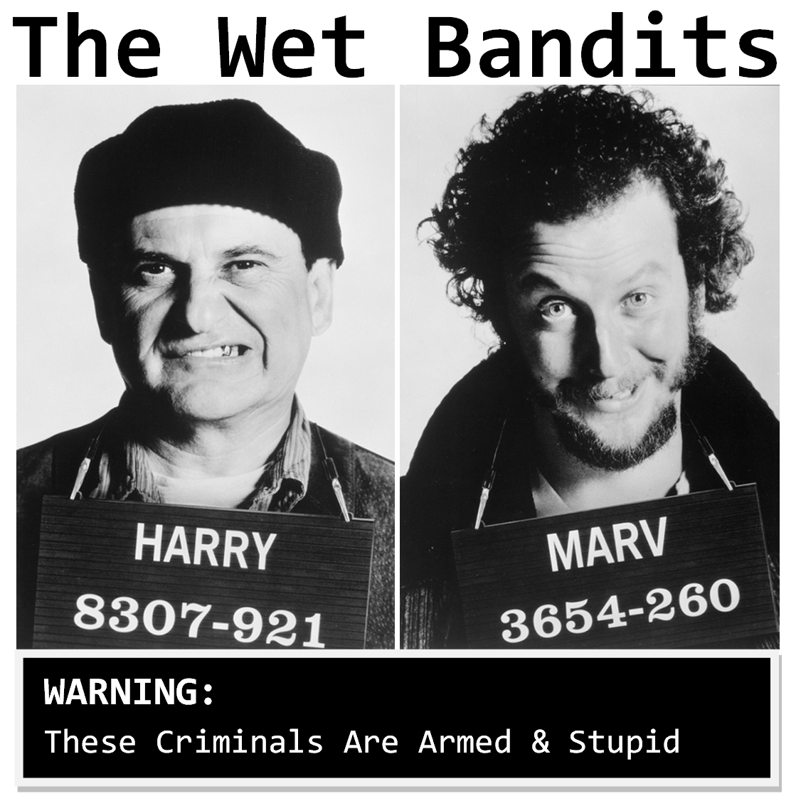 Wet Bandits Home Alone Mug