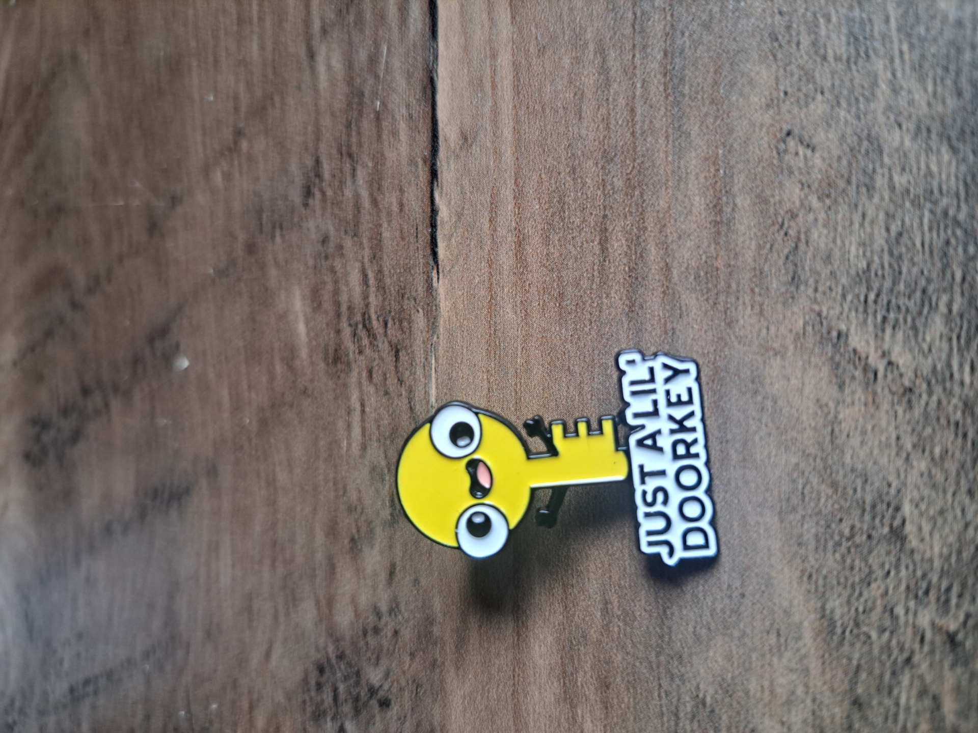 Little Dorky Pin