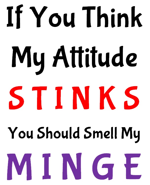 Stinky Minge Mug