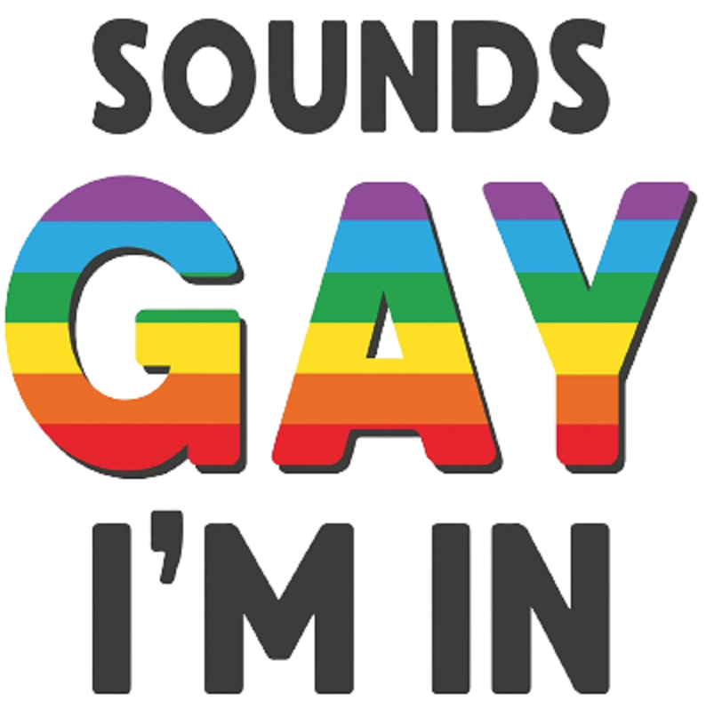 Sounds Gay I'm In Mug