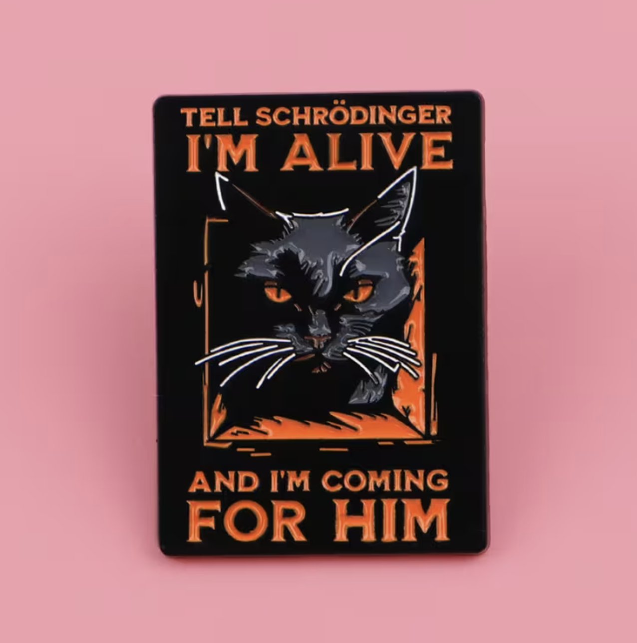 Schrödinger Cat Pin
