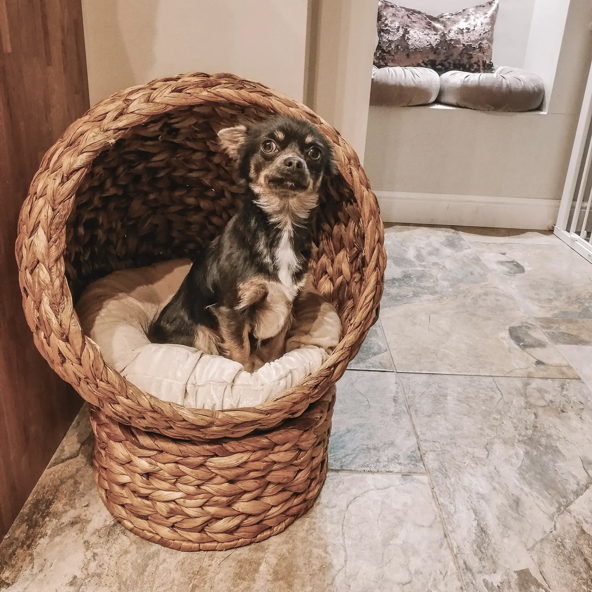 PawHut Rattan Katzenkorb Katzenhöhle Katzenhütte Katzenbett mit Kissen Haustierbett Wasserhyazinthe Hellbraun 50 x 42 x 60 cm