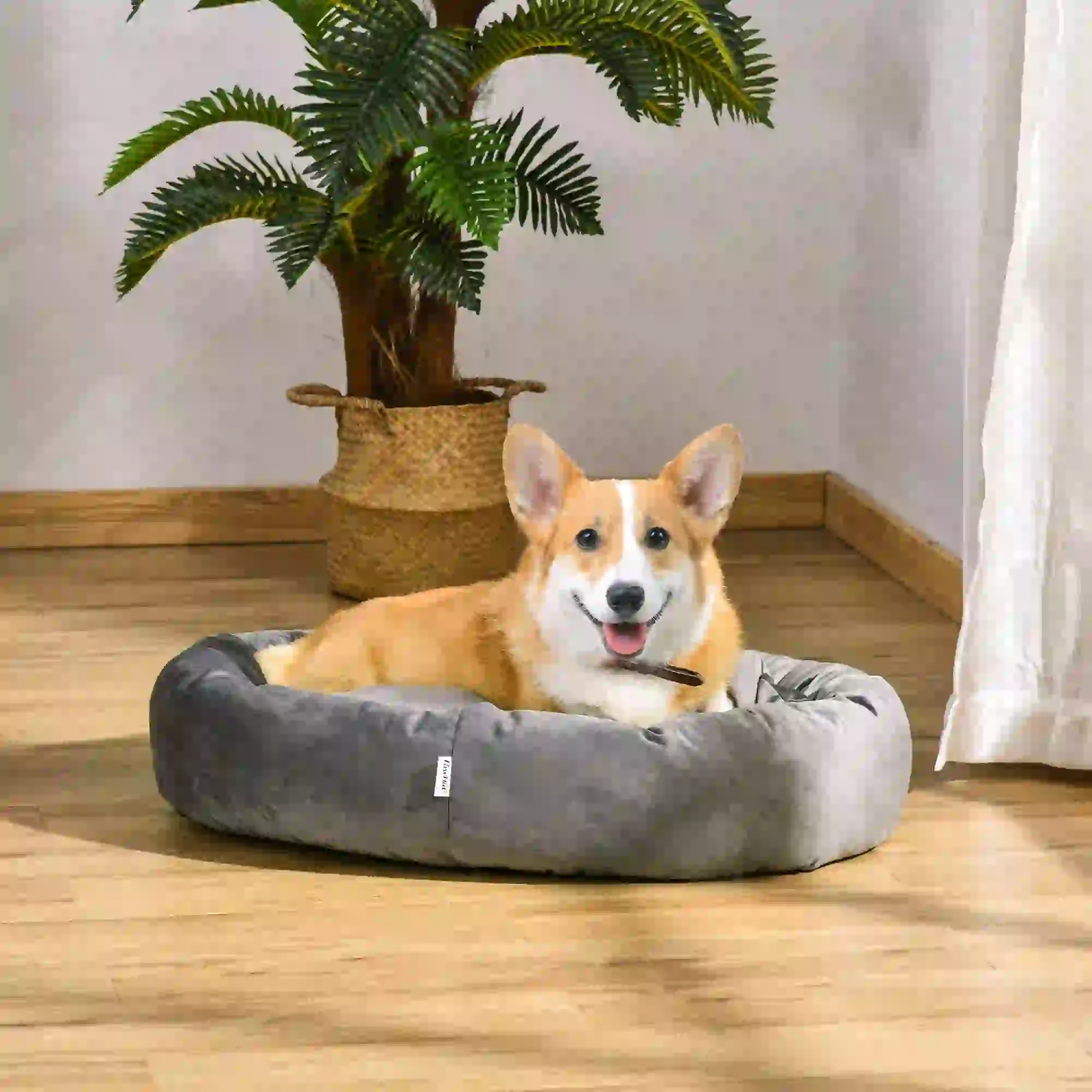 Hundebett Hundematte Hundekissen Hundematratze Hundesofa Tierbett Haustierbett rund abnehmbar waschbar für Hunde Katzen samtartiges Polyester Dunkelgrau 81,5 x 58 x 18 cm