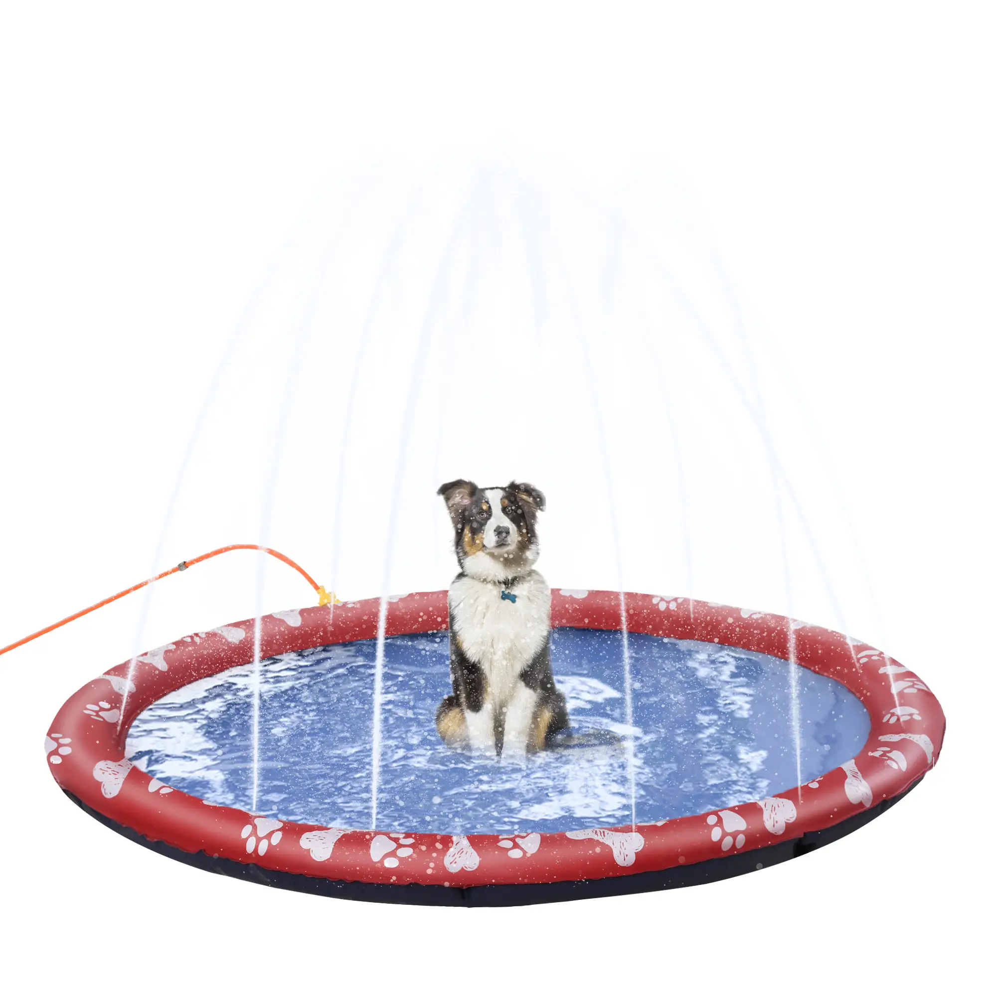Hundepool, Wasser-Spielpool, rutschfest, robust, tierfreundlich, Ø170 cm, Rot 5