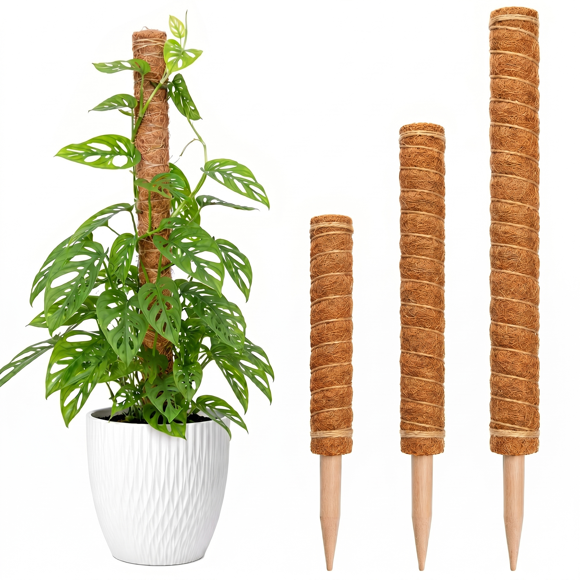 Coconut Coir Plant Support Stakes