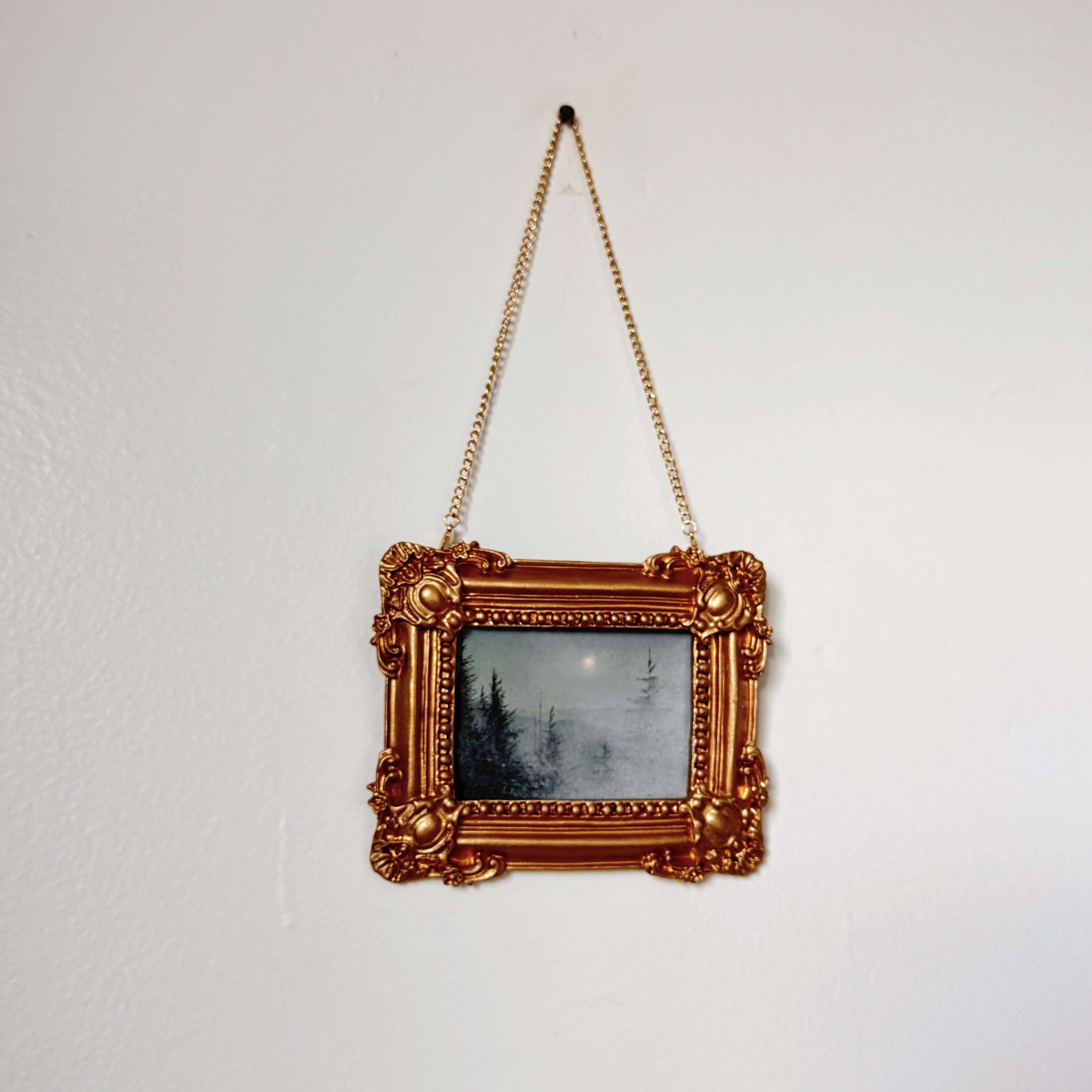 Comfortable in the fog 