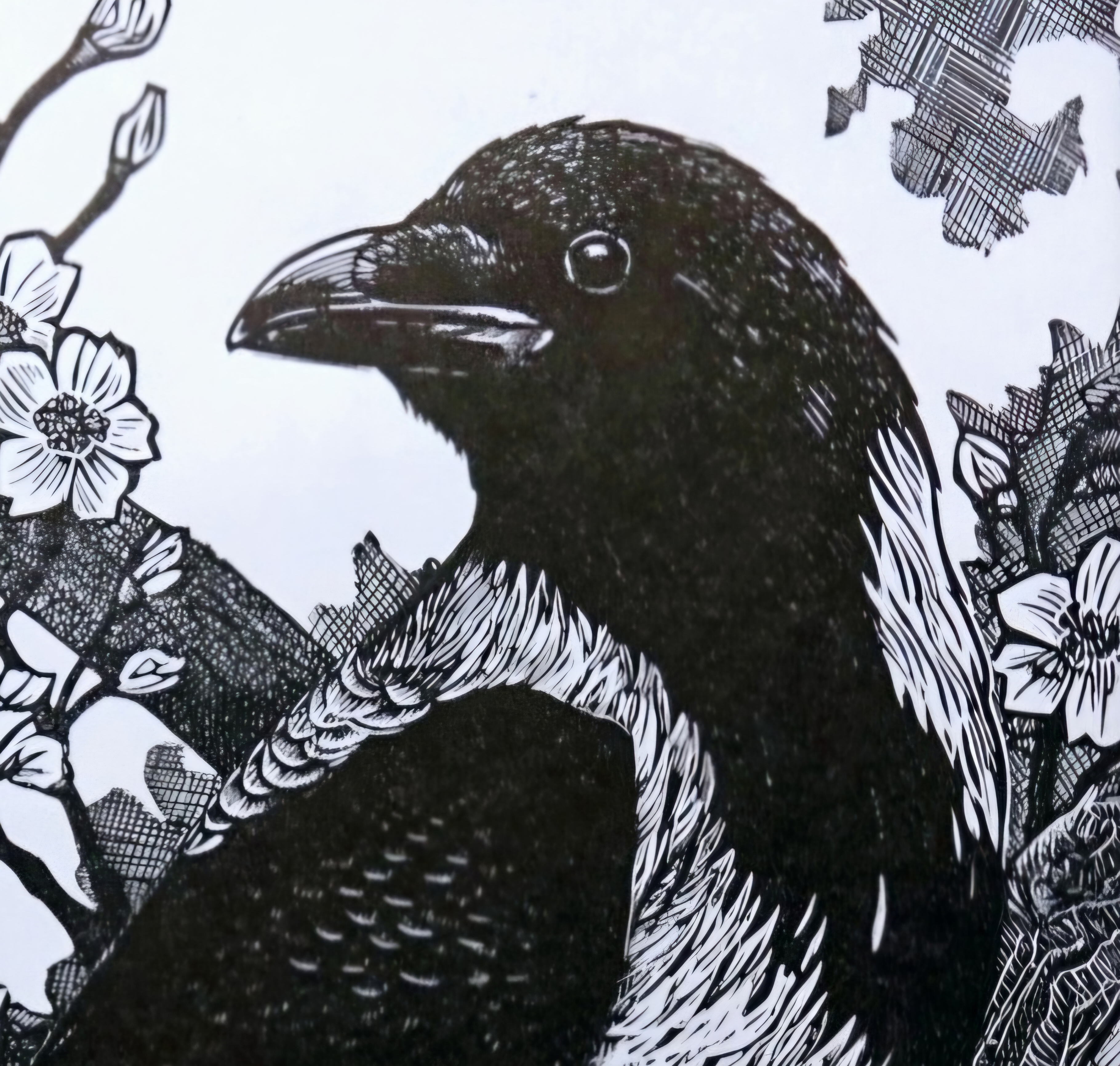 Hooded Crow. Linocut Print