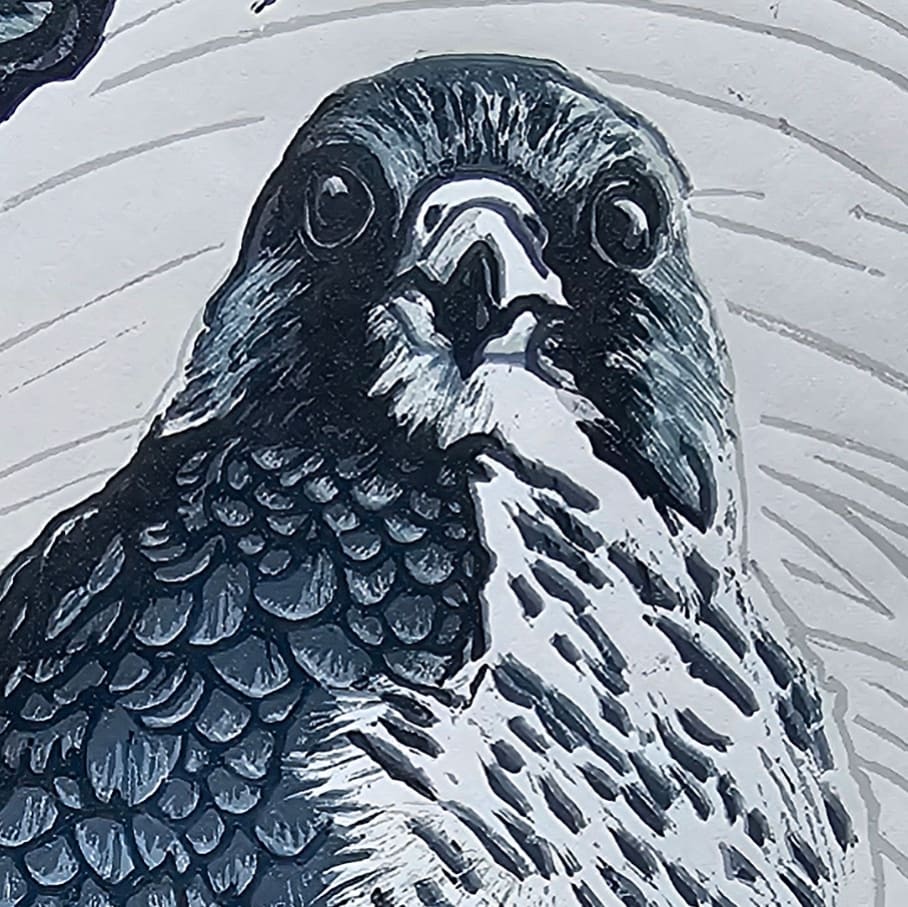  Peregrine Falcon. Woodcut Reduction Print