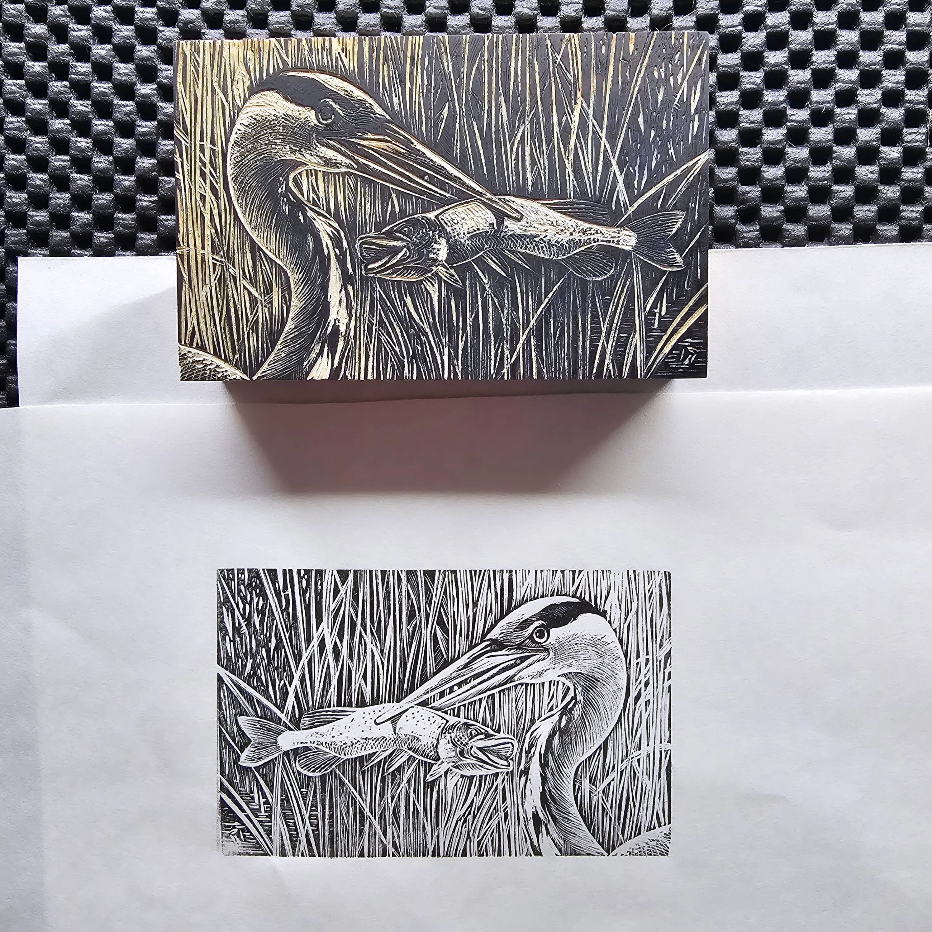 Heron and Pike. Wood Engraving print.