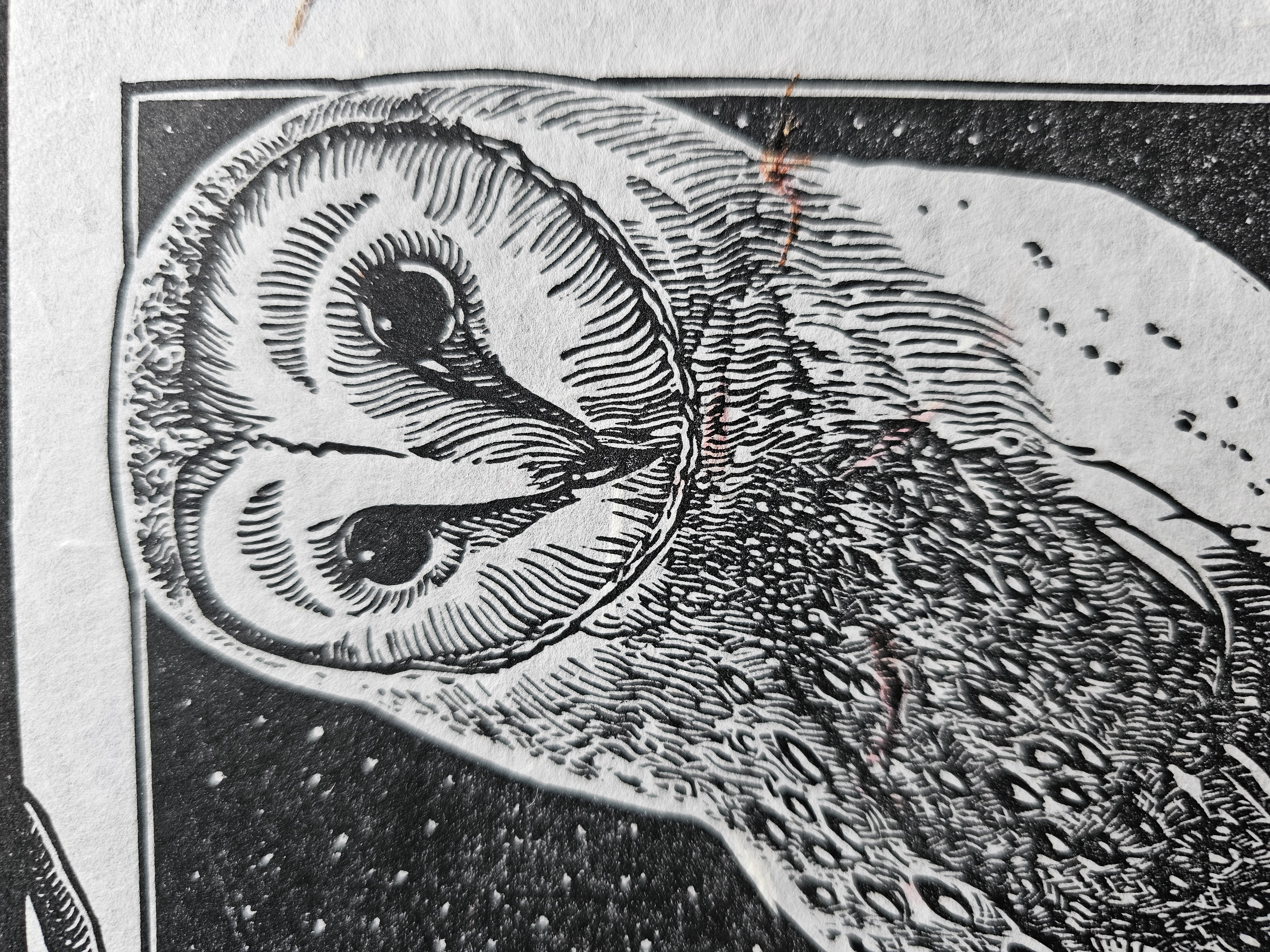 Barn Owl. Linocut Print