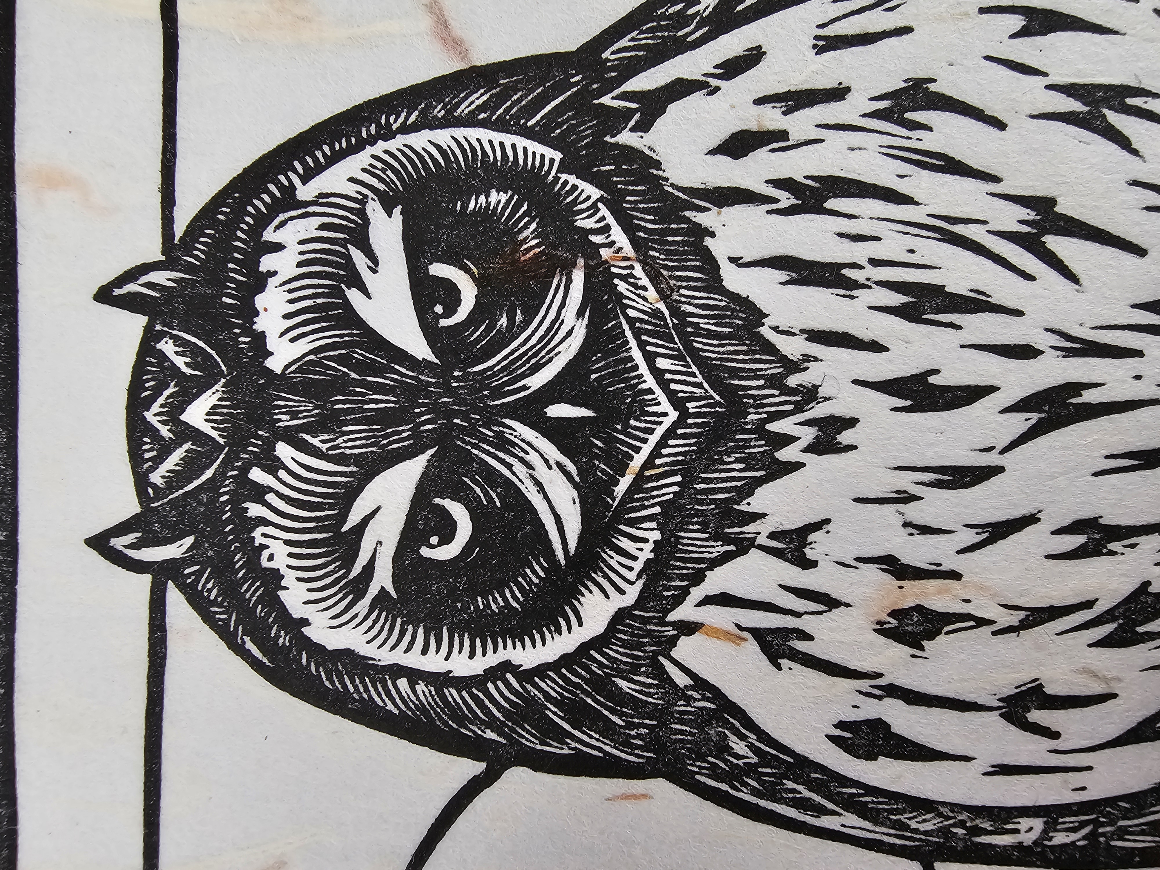 Short Eared Owl. Linocut Print