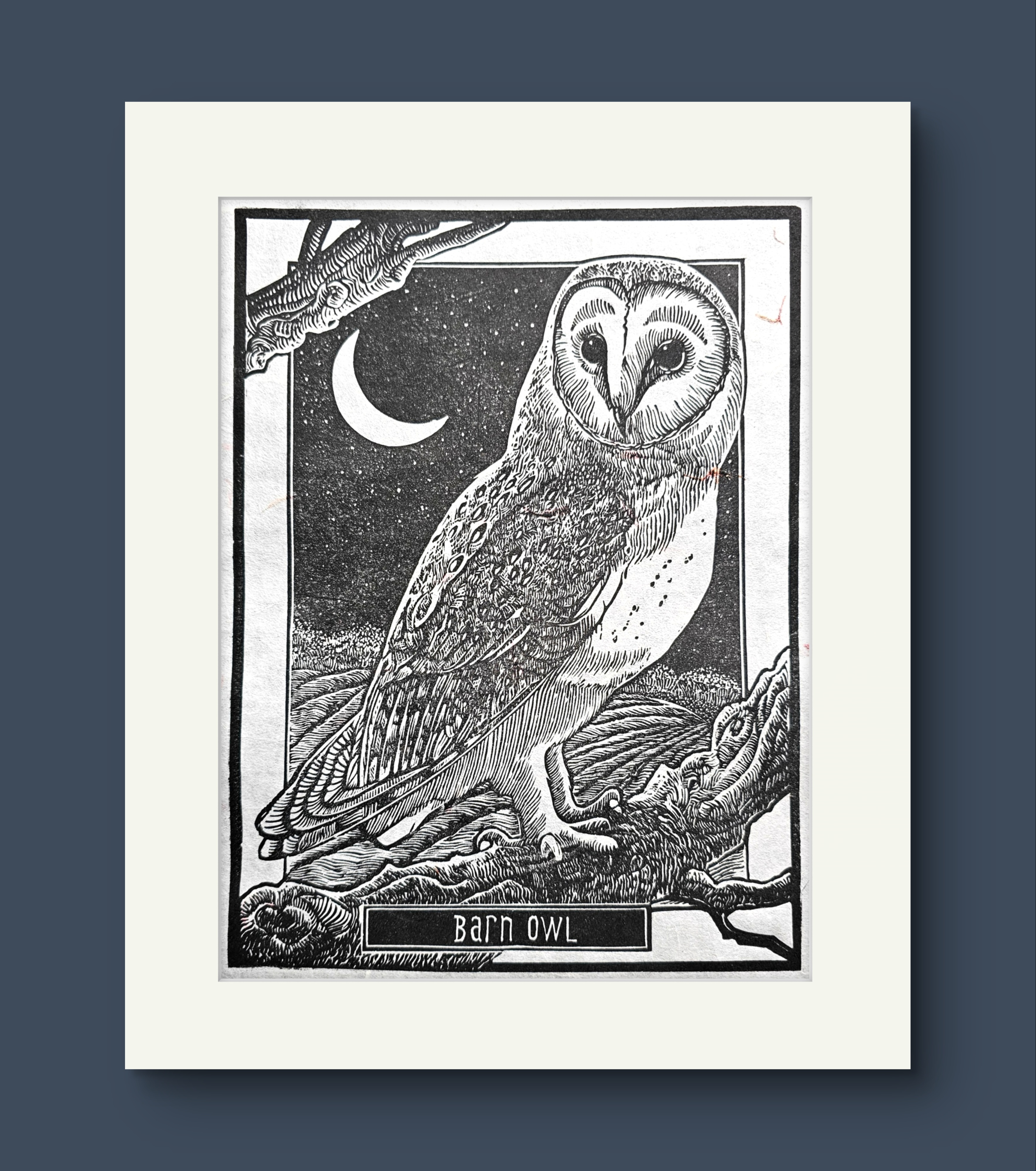 Barn Owl. Linocut Print