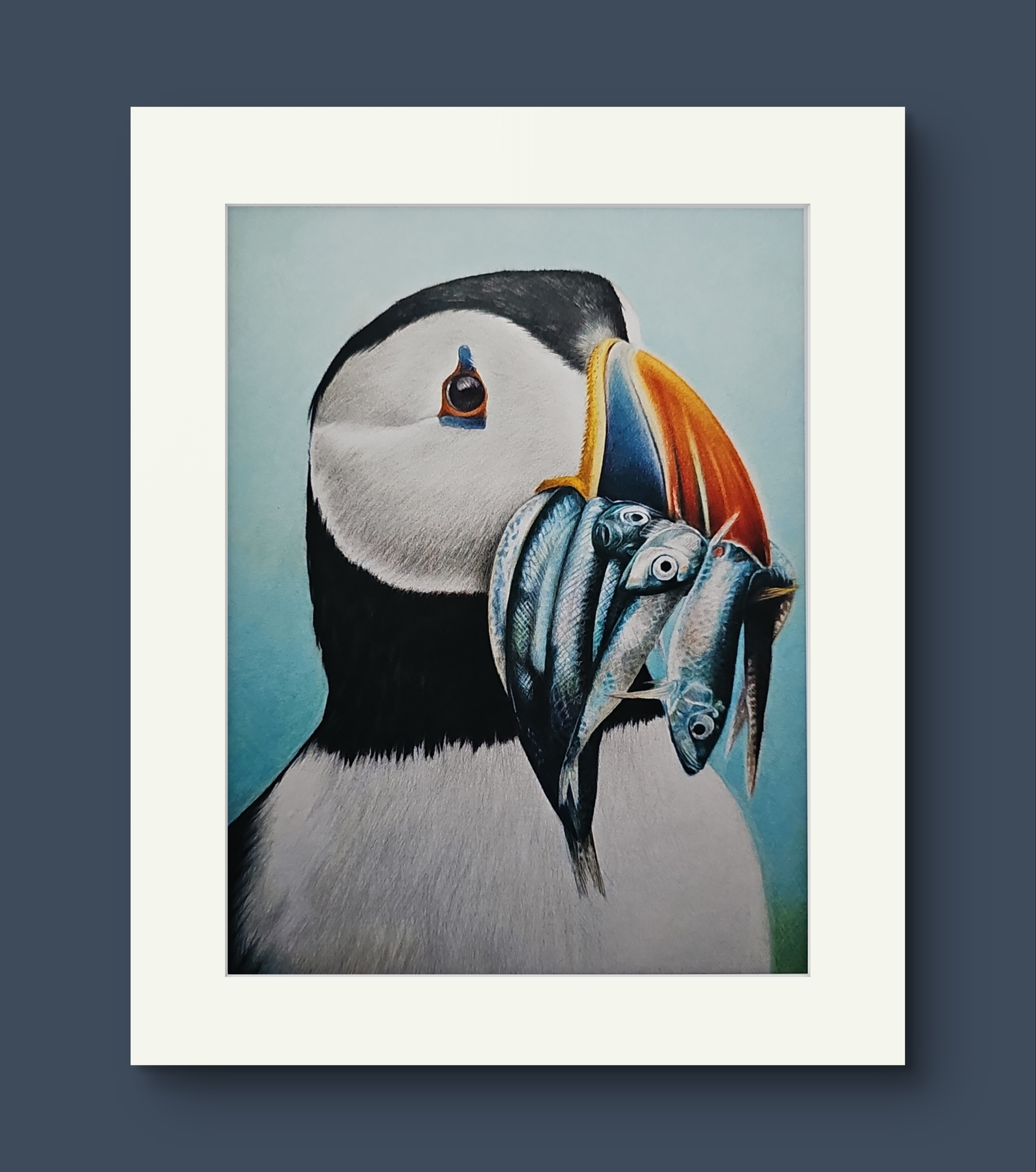 Puffin. Art Print
