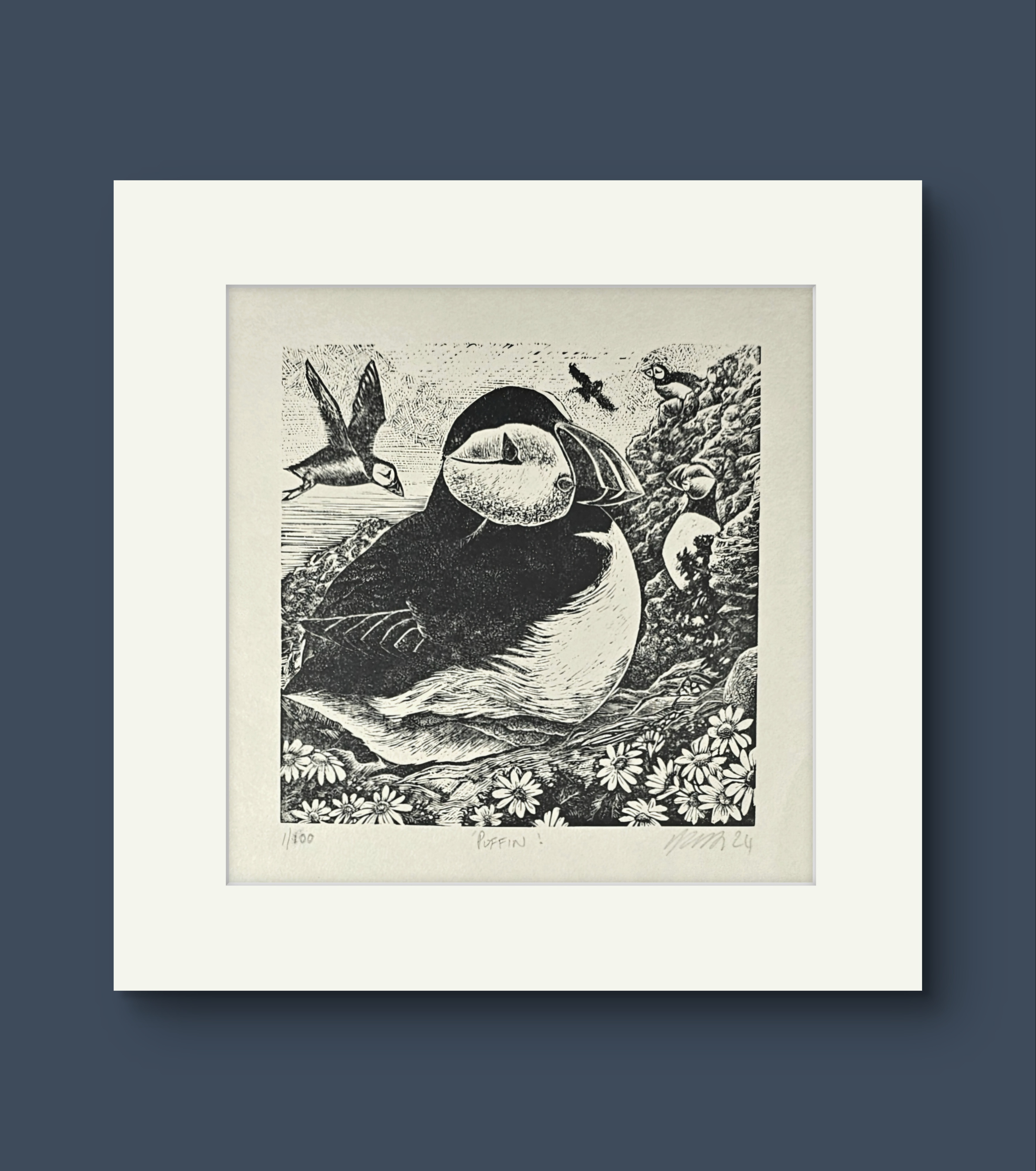 Puffin. Wood Engraving print.
