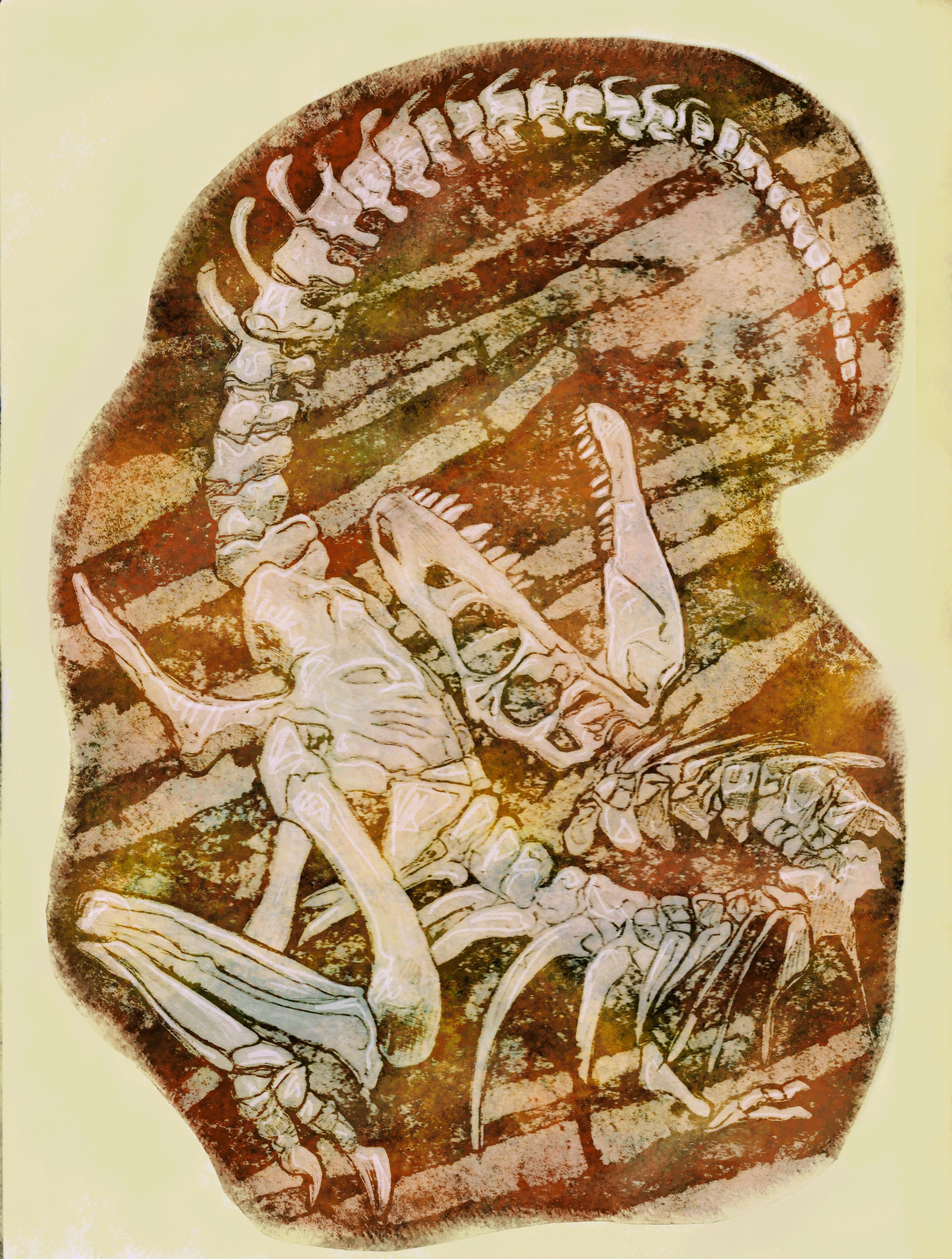 Young Tyrannosaur Fossil- Reproduction Collagraph Print