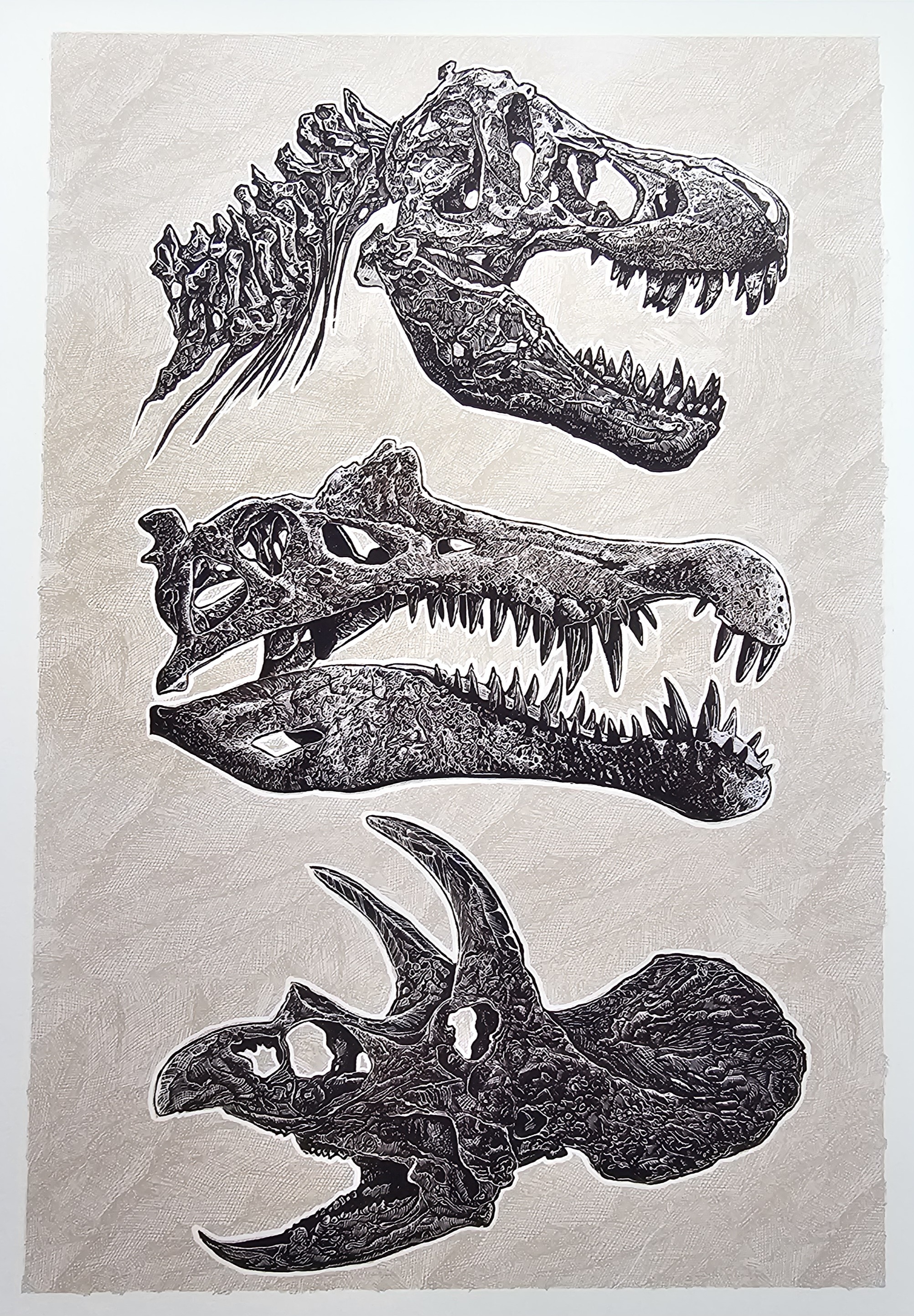 Dinosaur Skulls.