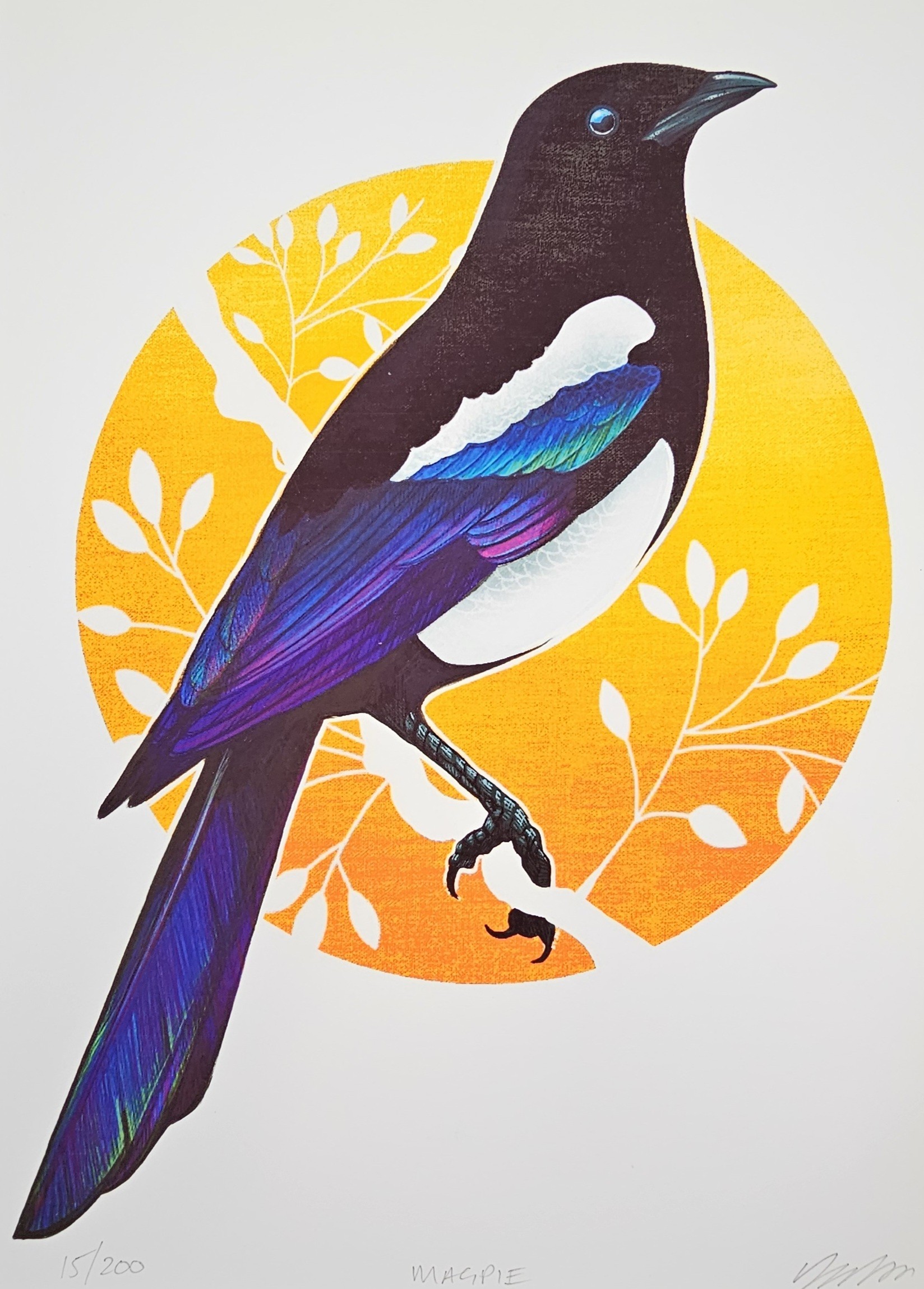 Magpie