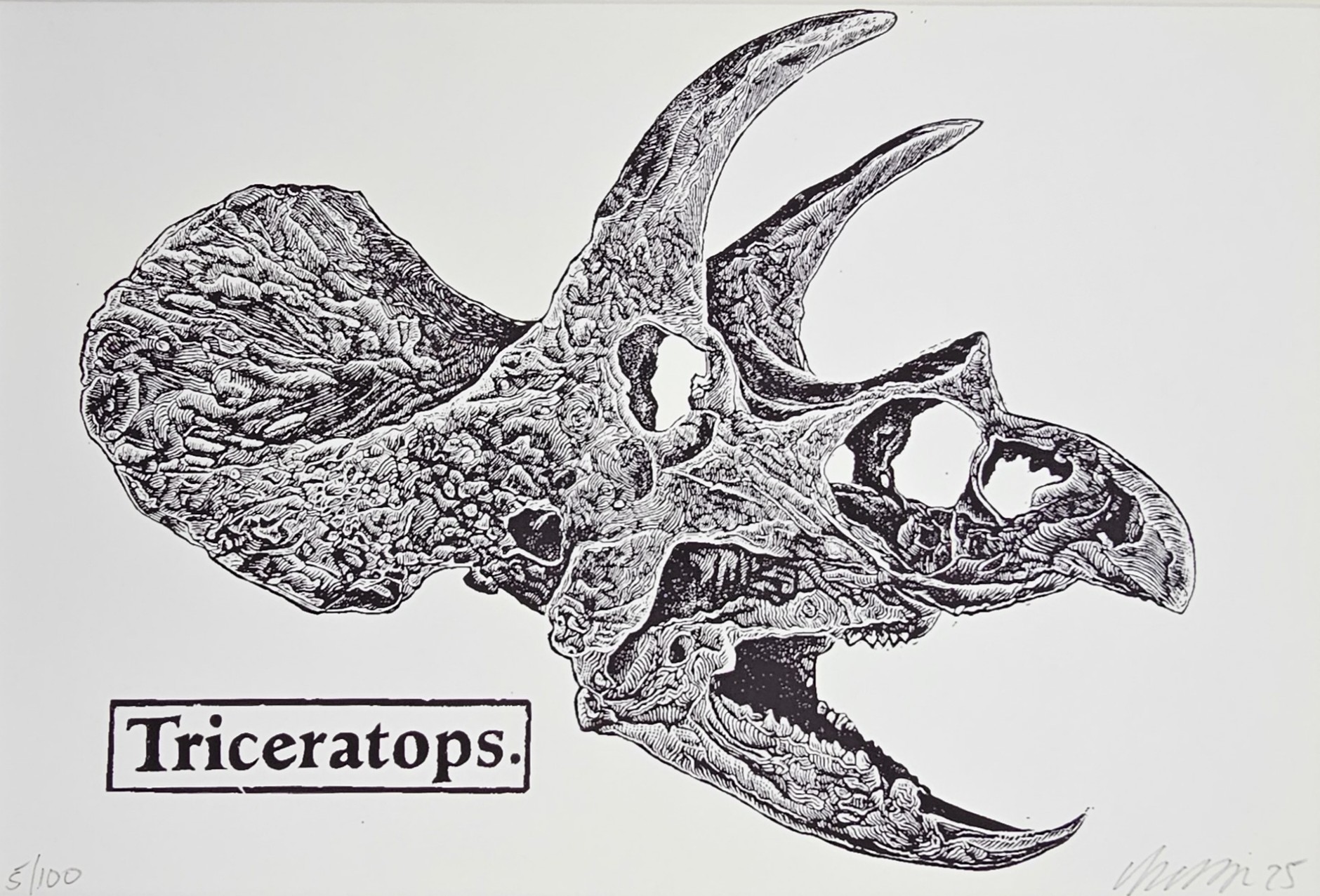 Triceratops- Linocut Print