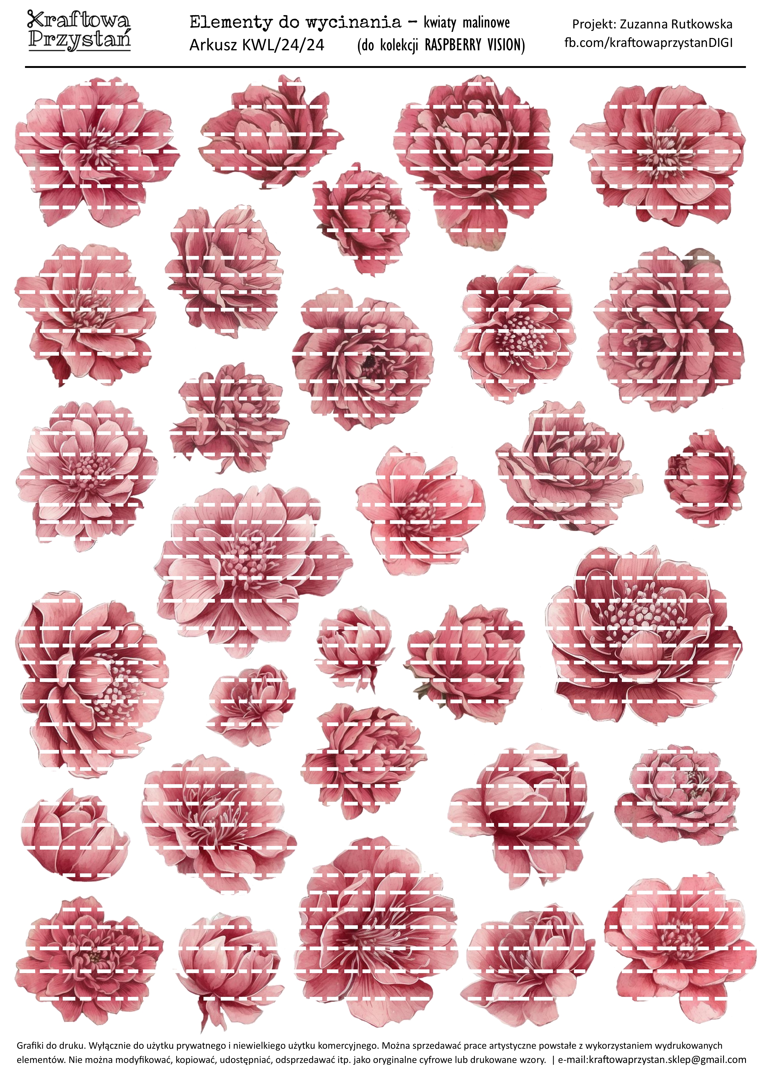 KWL.24.24 - Kwiaty Raspberry Vision