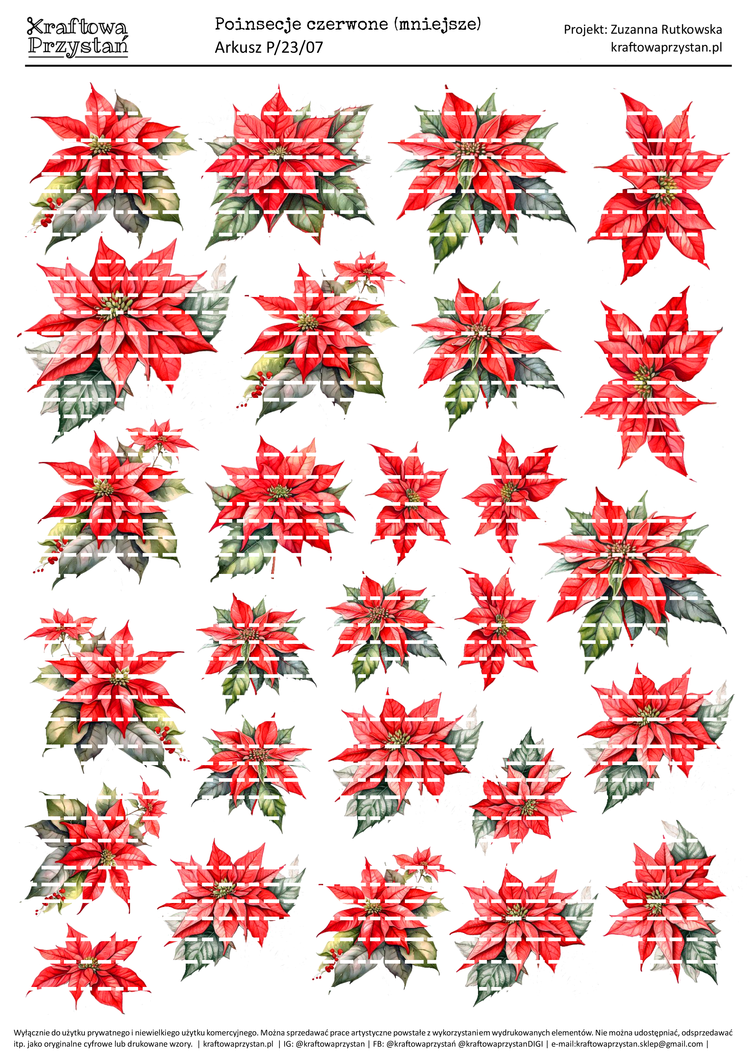P.23.07 (odnowione) - czerwone poinsecje, gwiazda betlejemska