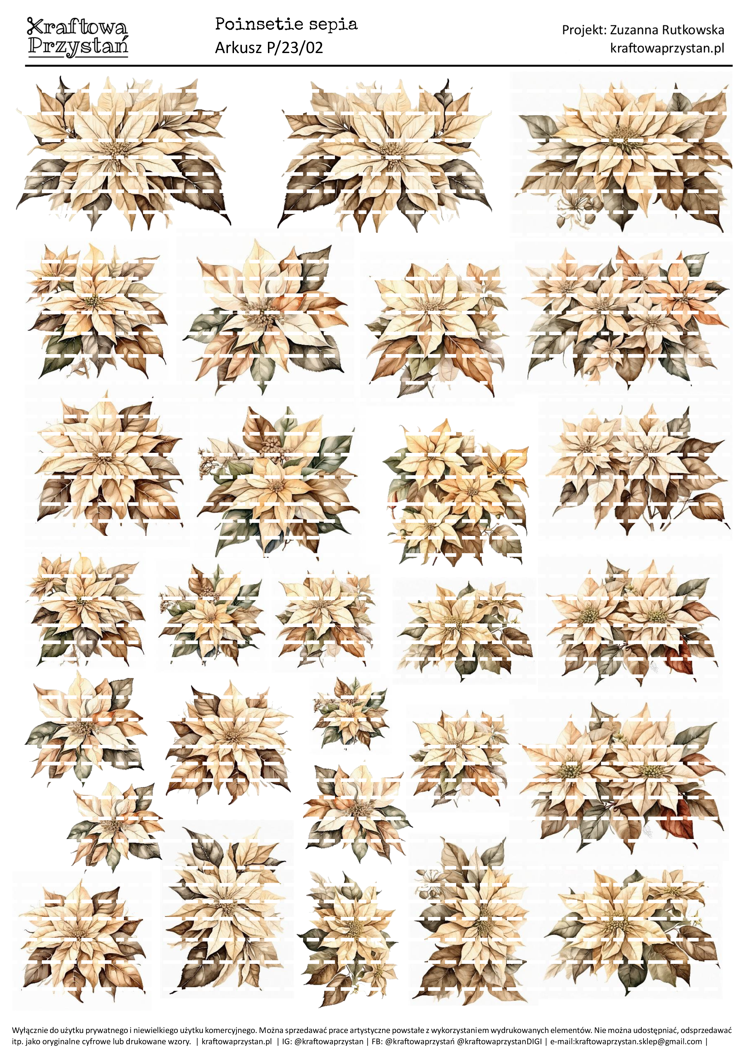P.23.02 (odnowione) - sepia, beżowe poinsecje, gwiazda betlejemska