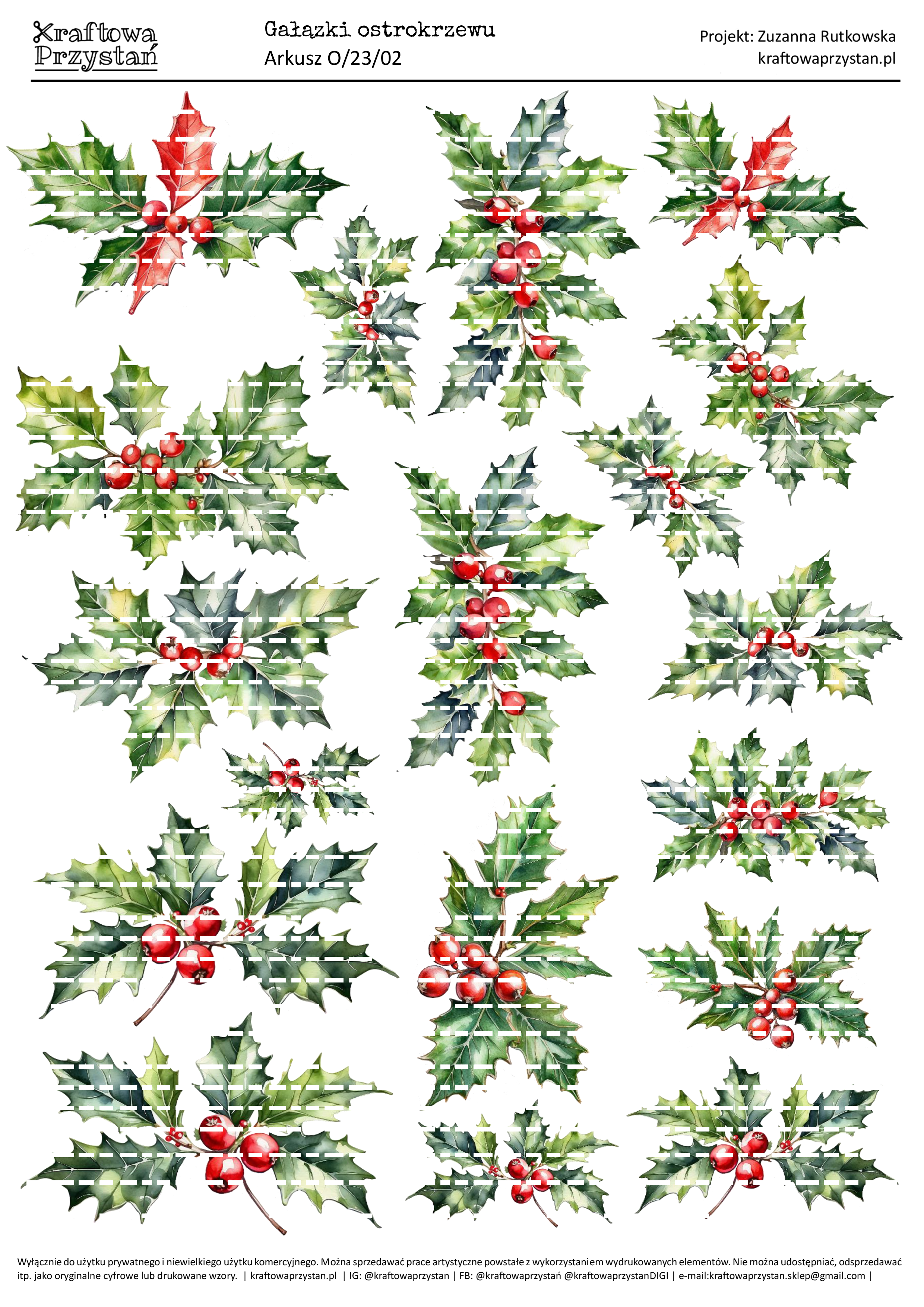 O.23.02 (odnowione) - ostrokrzewy