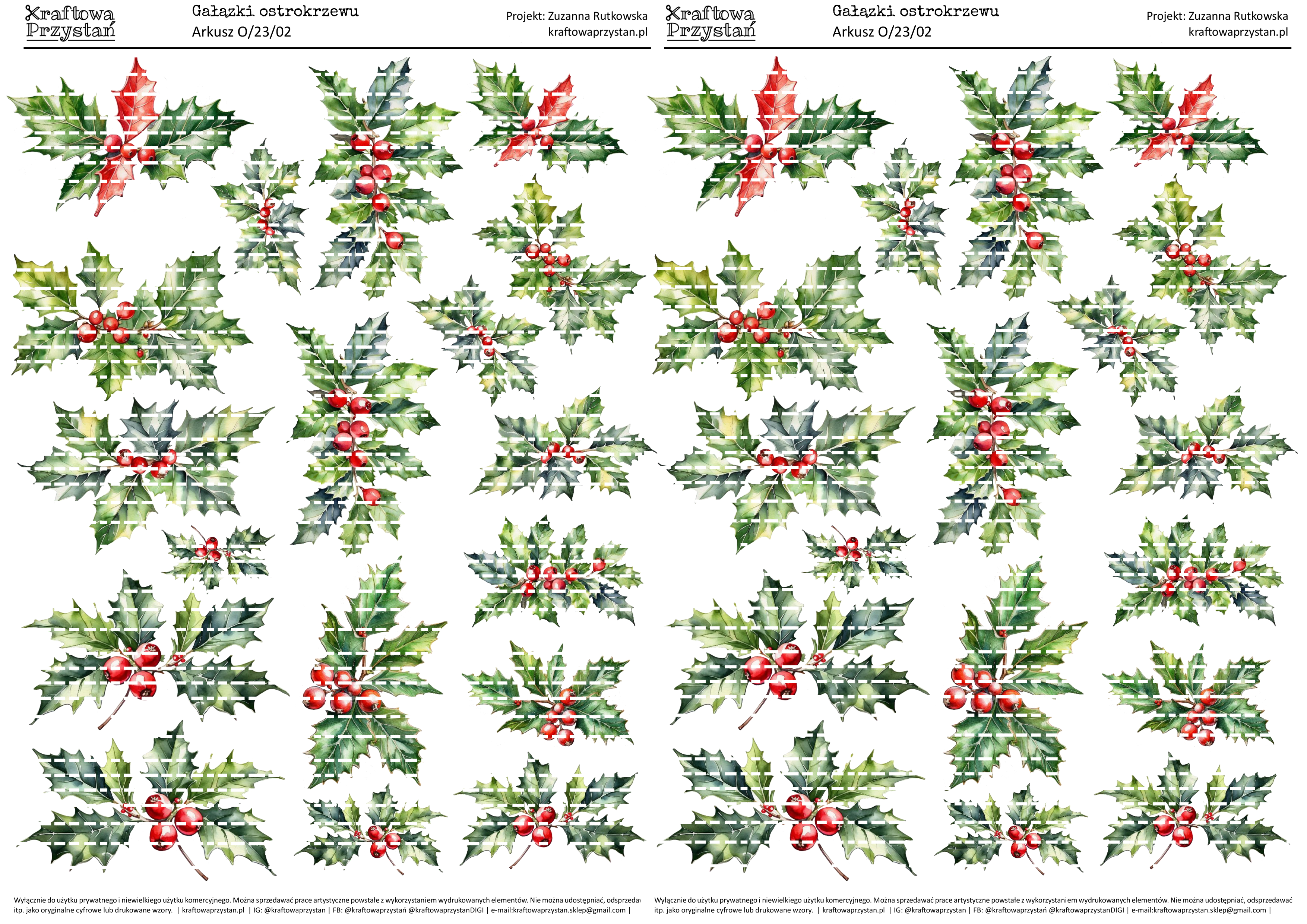 O.23.02 (odnowione) - ostrokrzewy