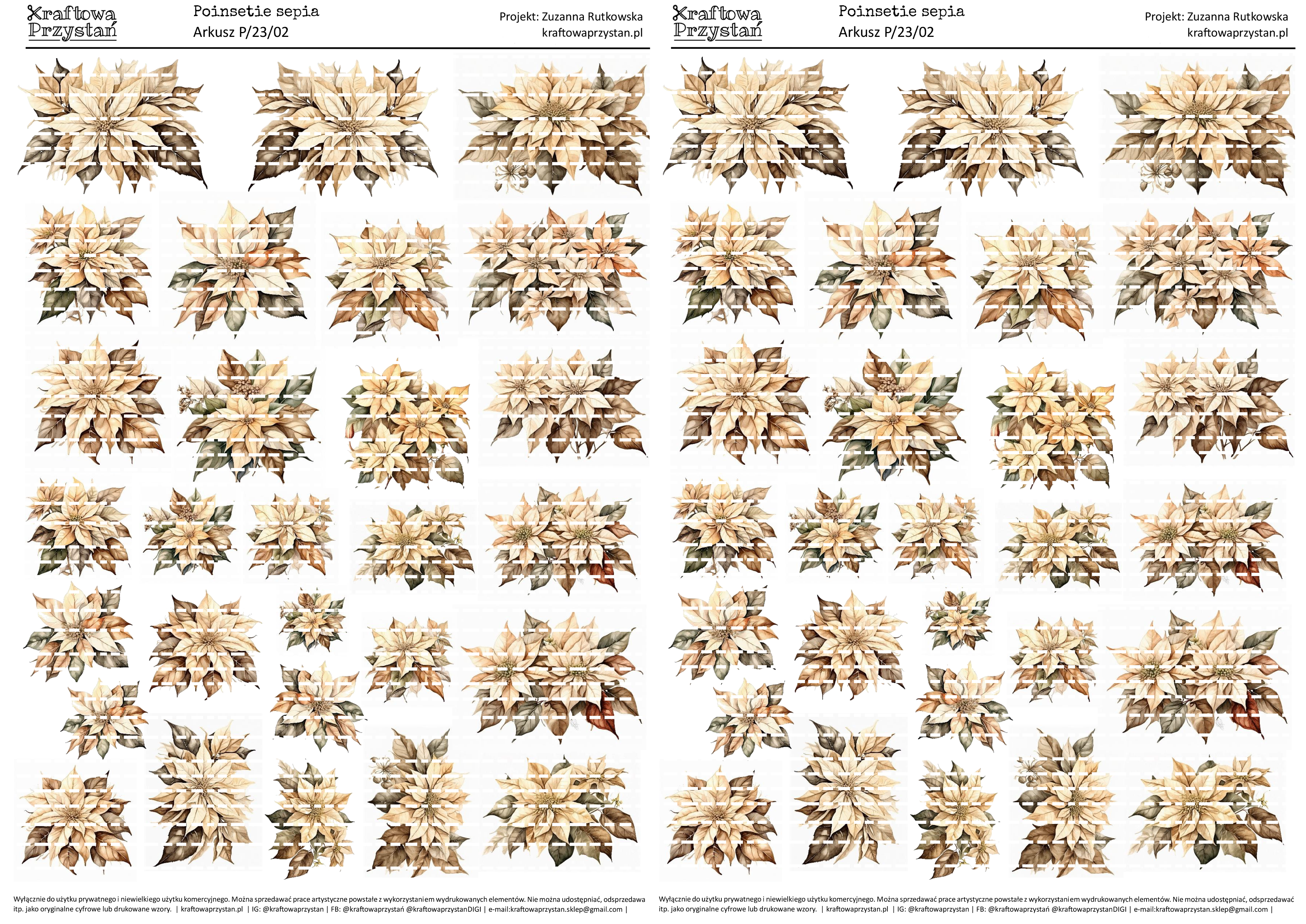 P.23.02 (odnowione) - sepia, beżowe poinsecje, gwiazda betlejemska