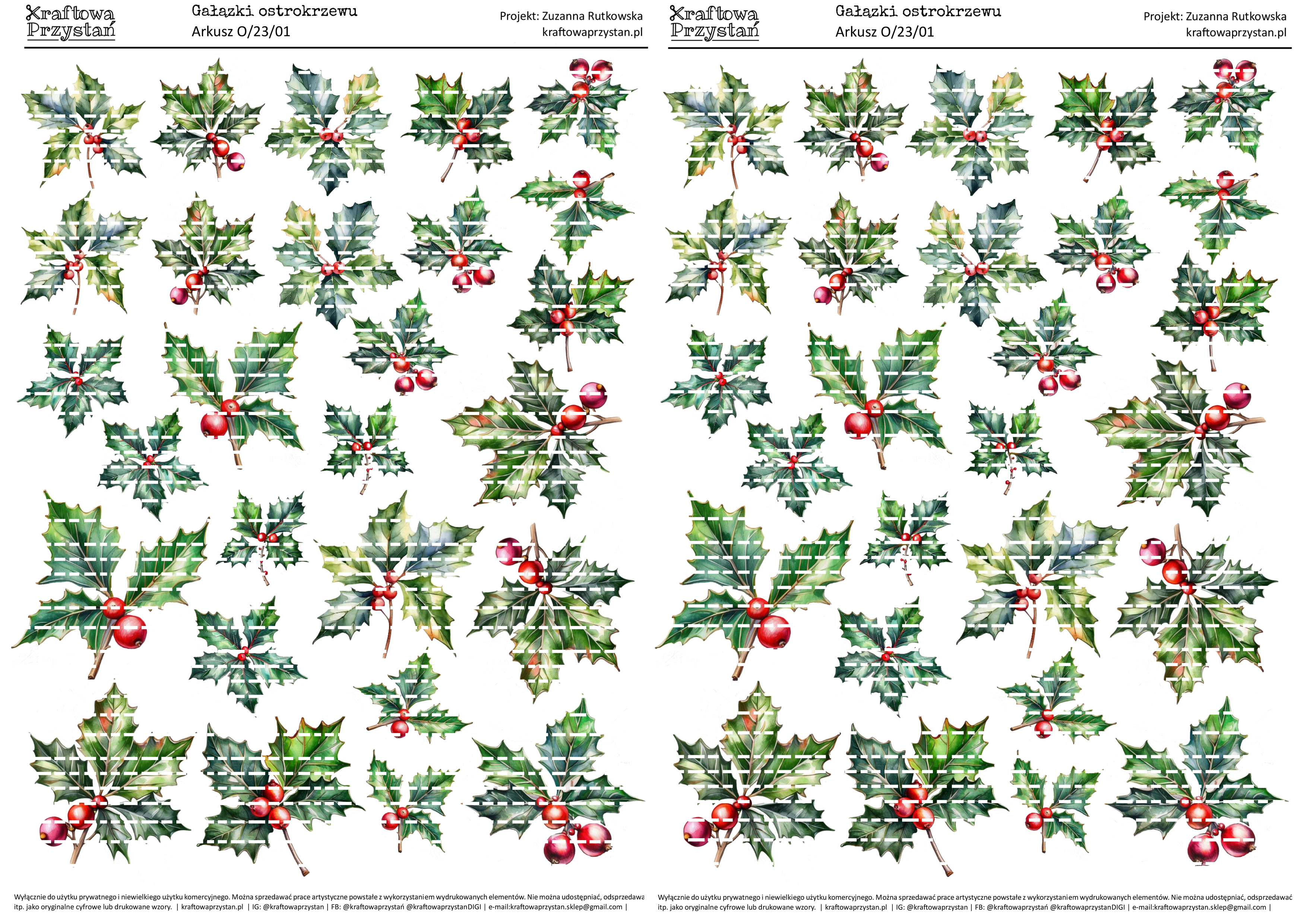 O.23.01 (odnowione) - ostrokrzewy