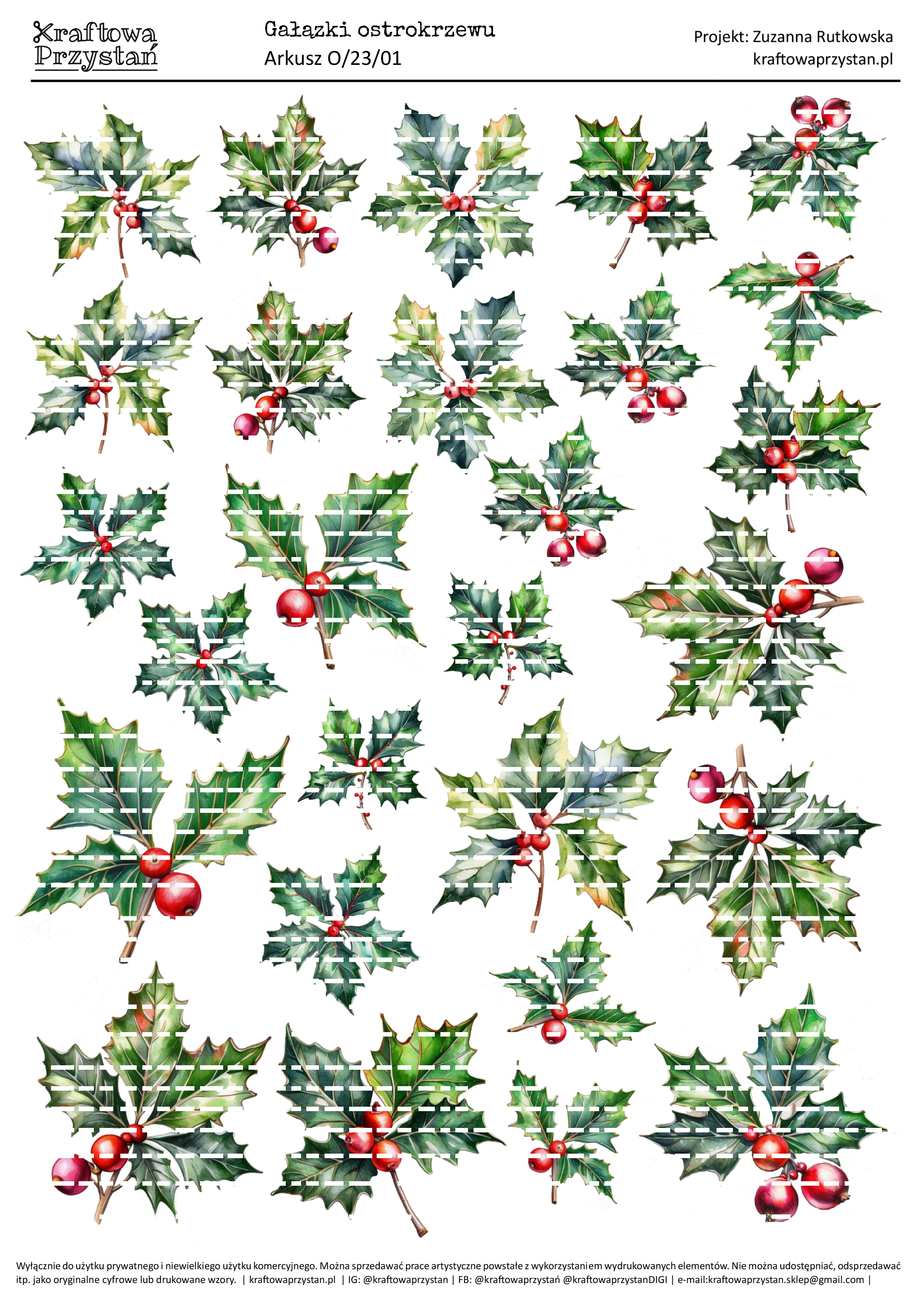 O.23.01 (odnowione) - ostrokrzewy