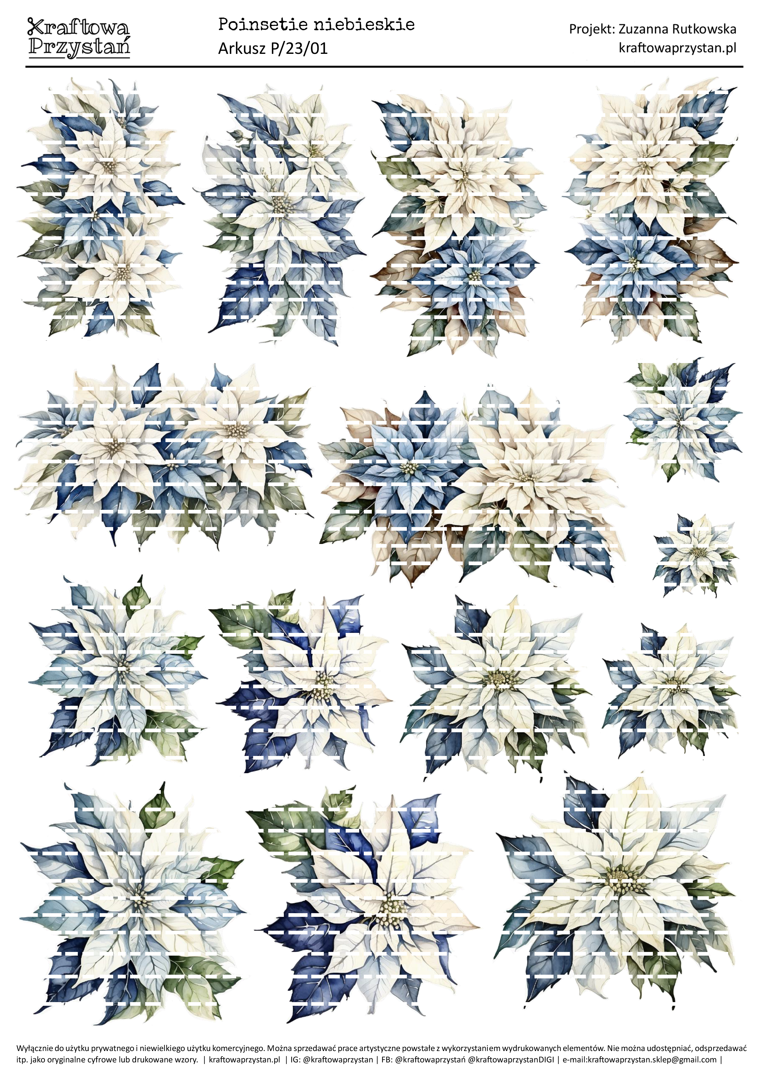 P.23.01 (odnowione) - niebiesko-białe poinsecje, gwiazda betlejemska