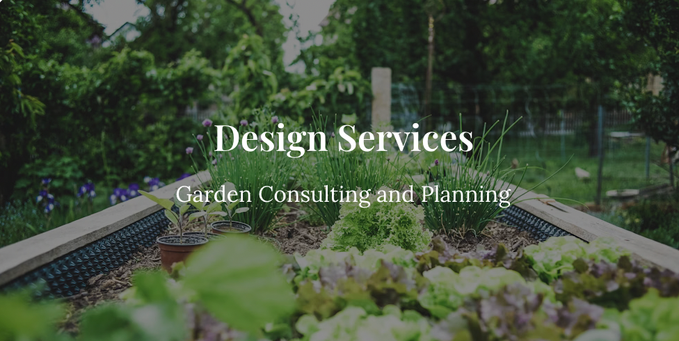 Garden Consultation