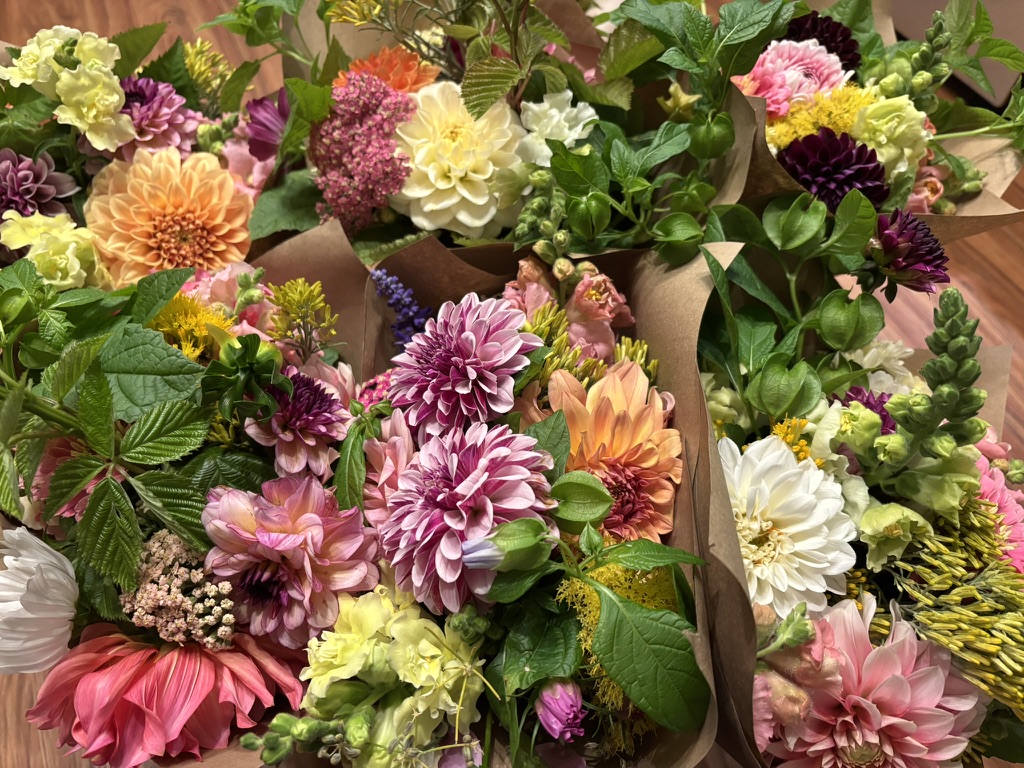 Dahlia CSA - 4 Week Subscription