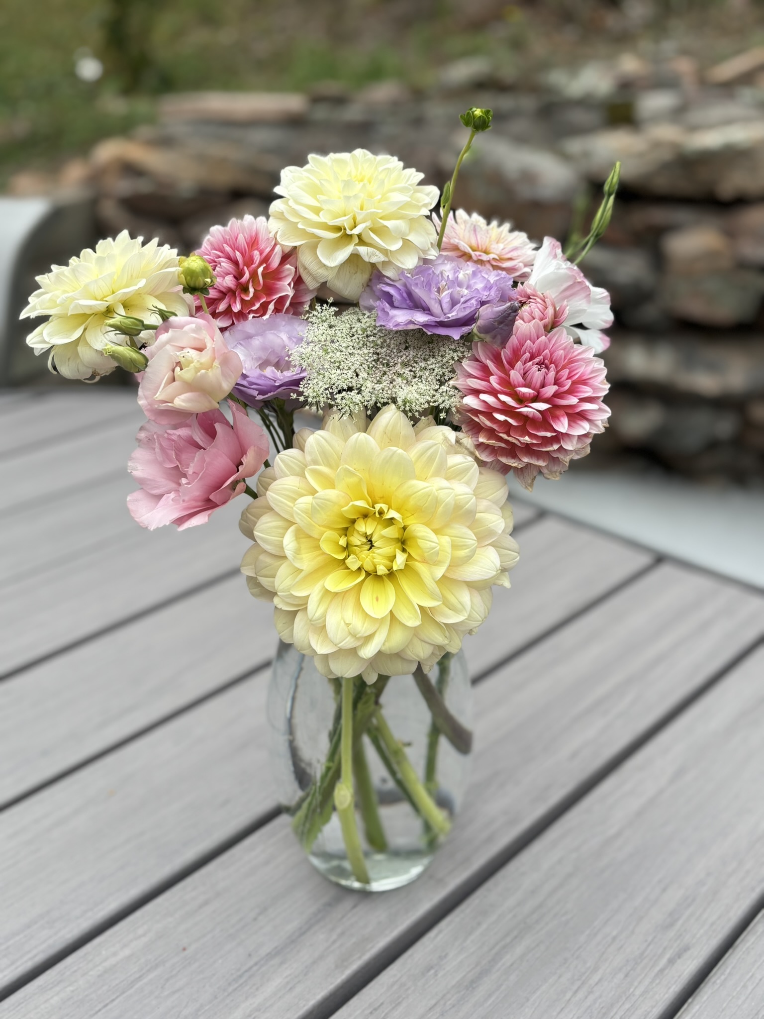 Dahlia CSA - 4 Week Subscription