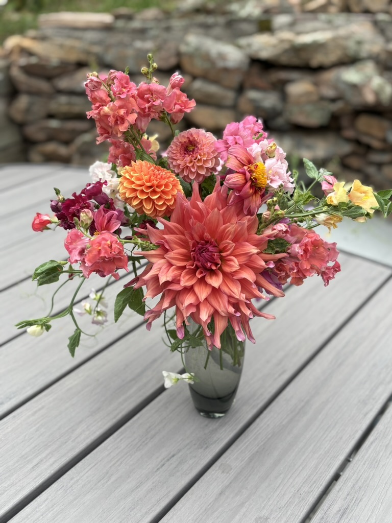 Dahlia CSA - 6 Week Subscription