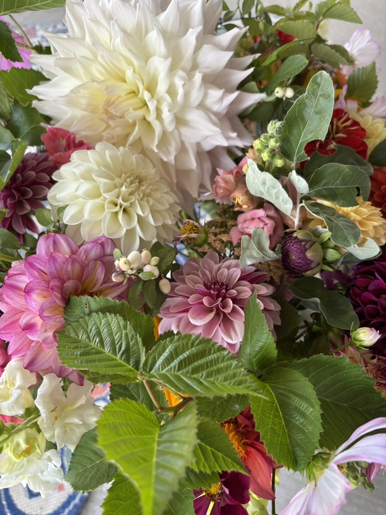 Dahlia CSA - 4 Week Subscription