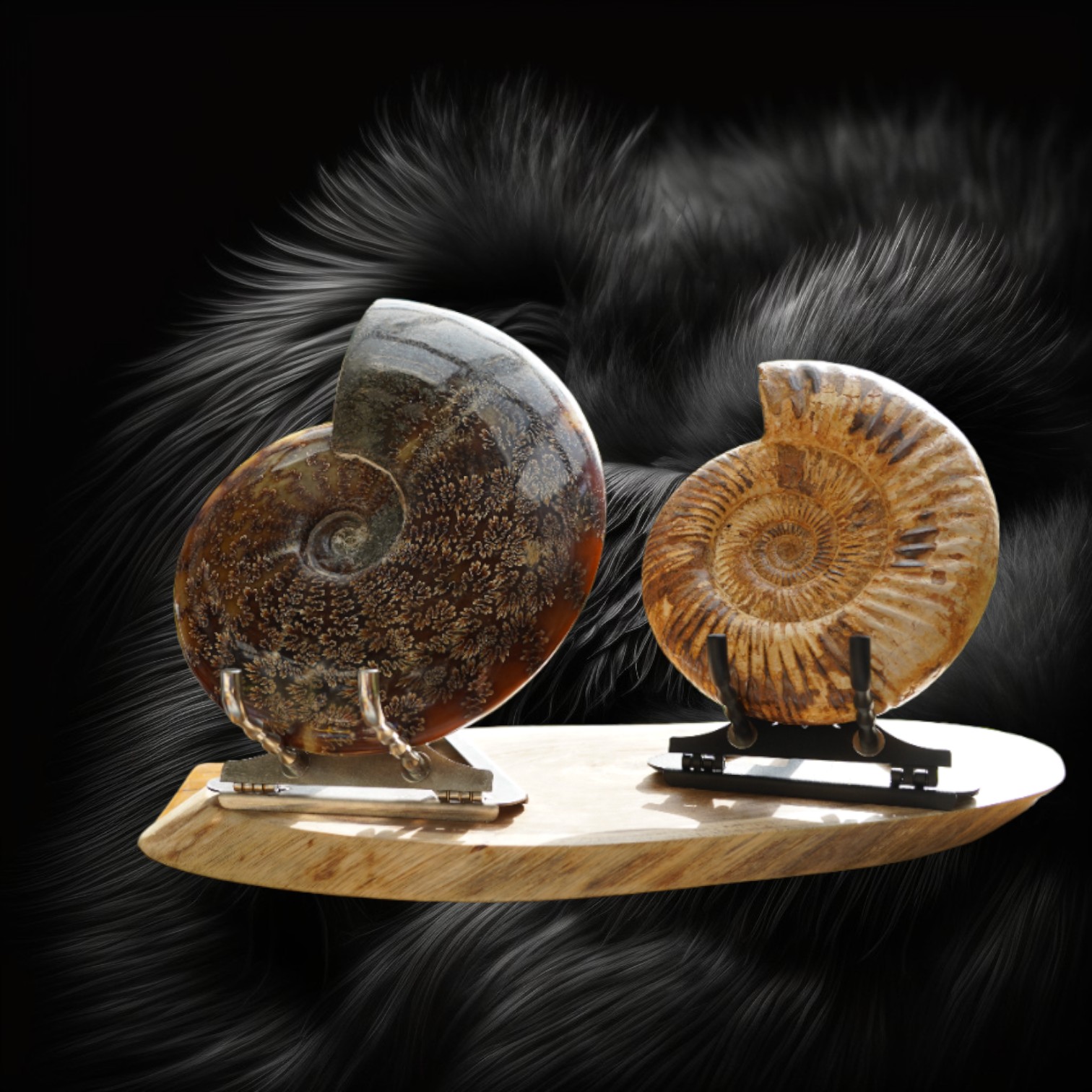 Display Stand For Fossil Ammonite Crystal Stones Slab Mineral Rocks Stainless Steel Black & Raw Silver Home Decor Office Decor