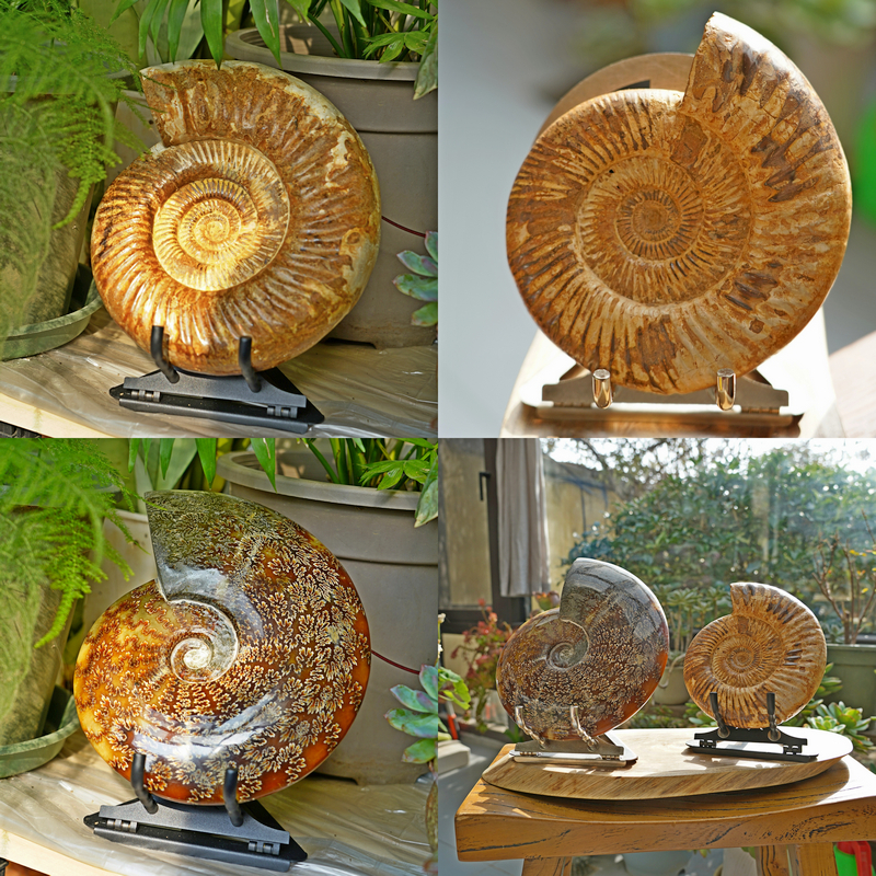 Display Stand For Fossil Ammonite Crystal Stones Slab Mineral Rocks Stainless Steel Black & Raw Silver Home Decor Office Decor