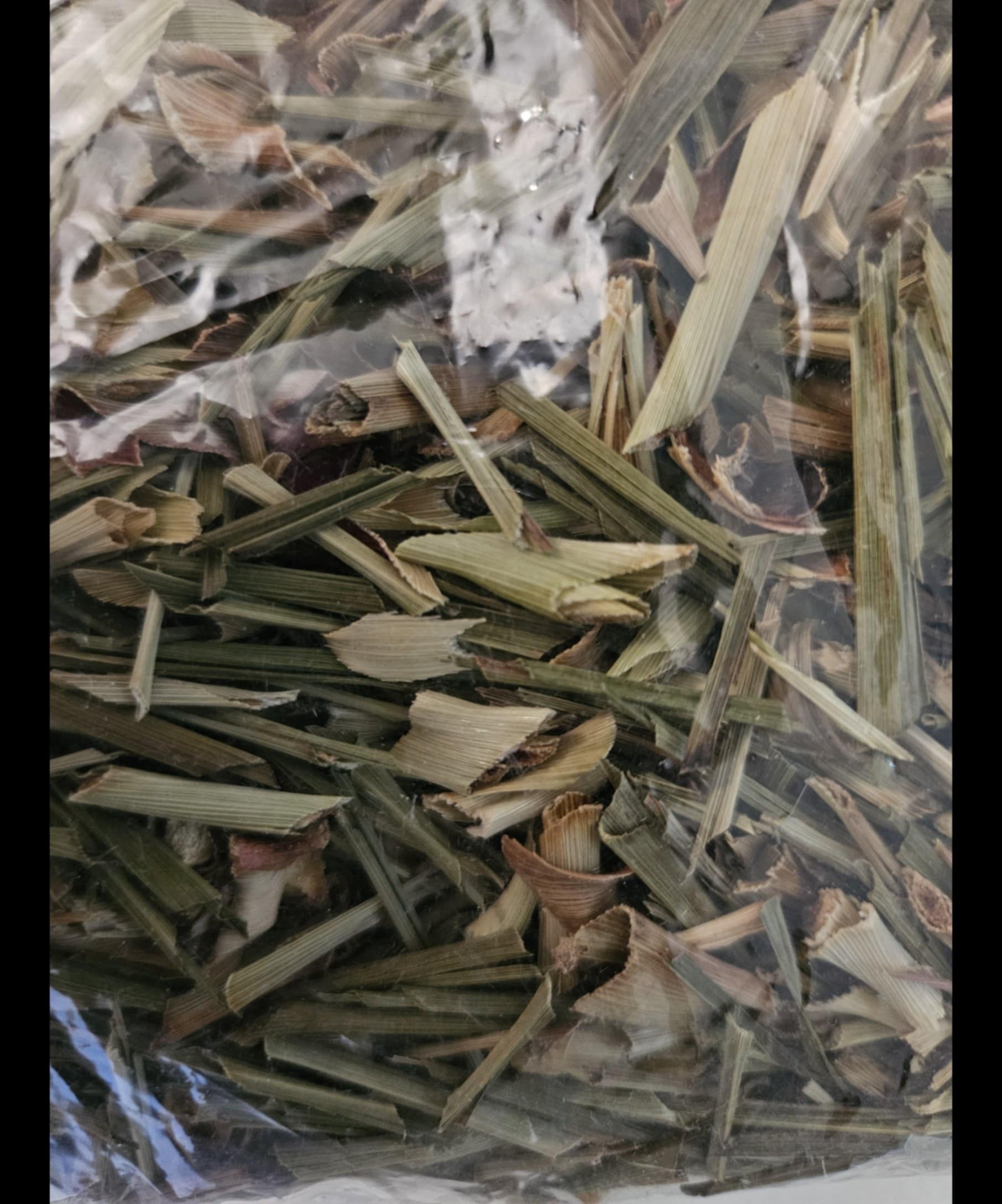 Lemongrass