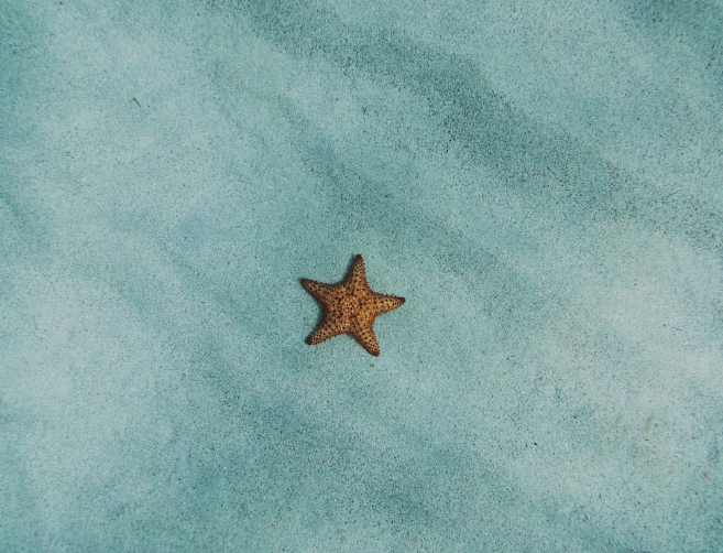 💎 Breakthrough (10-Sessions)