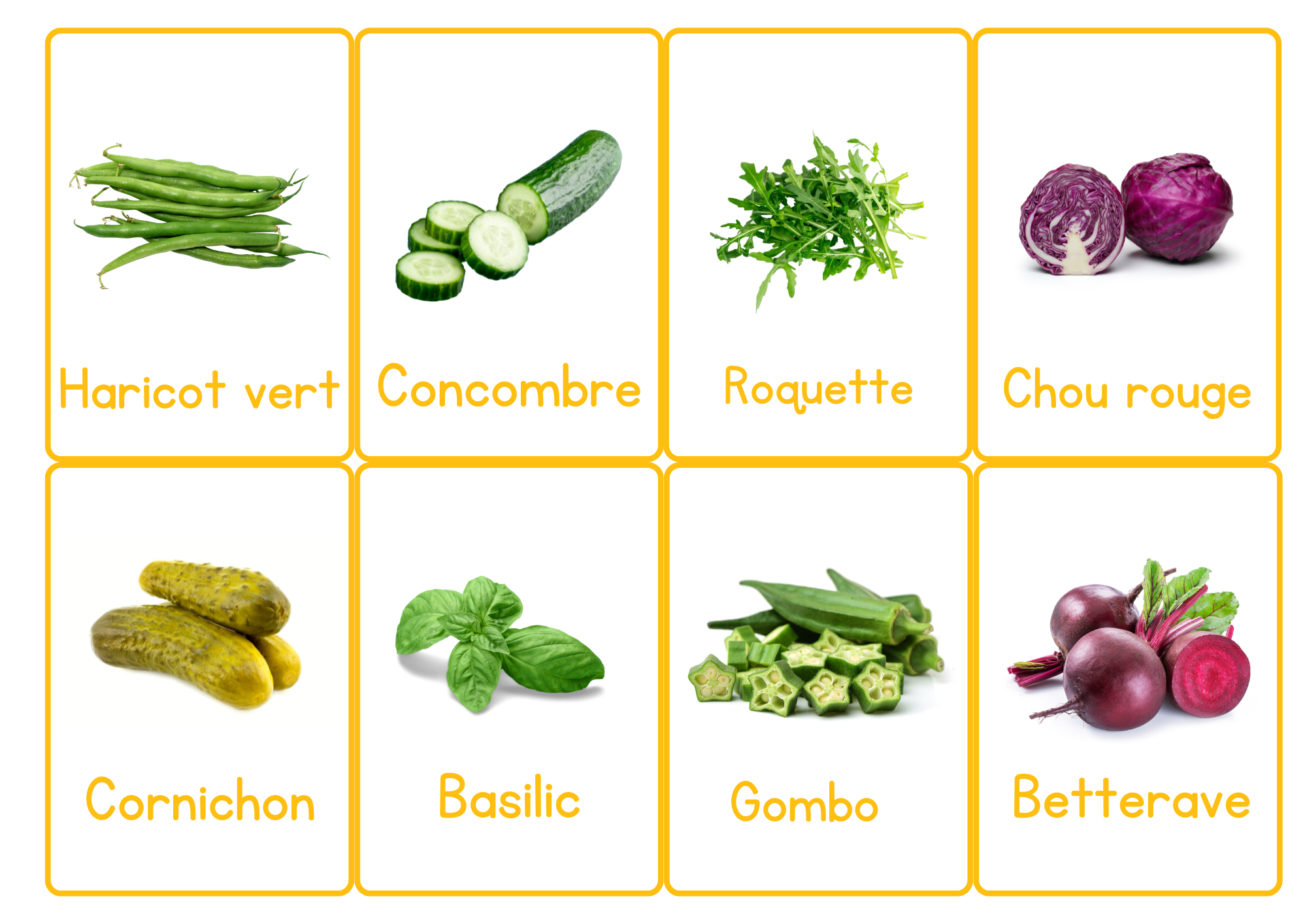 À la découverte de l'été - Carte de vocabulaire illustrées en PDF